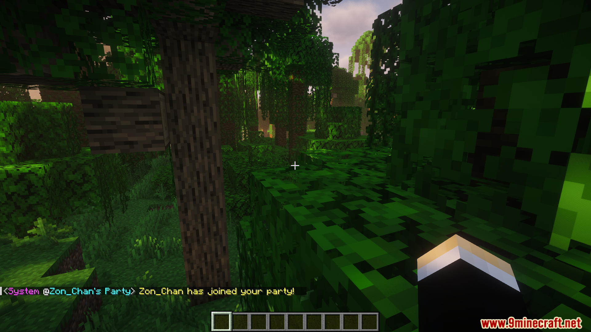 A player joins a party in a jungle biome