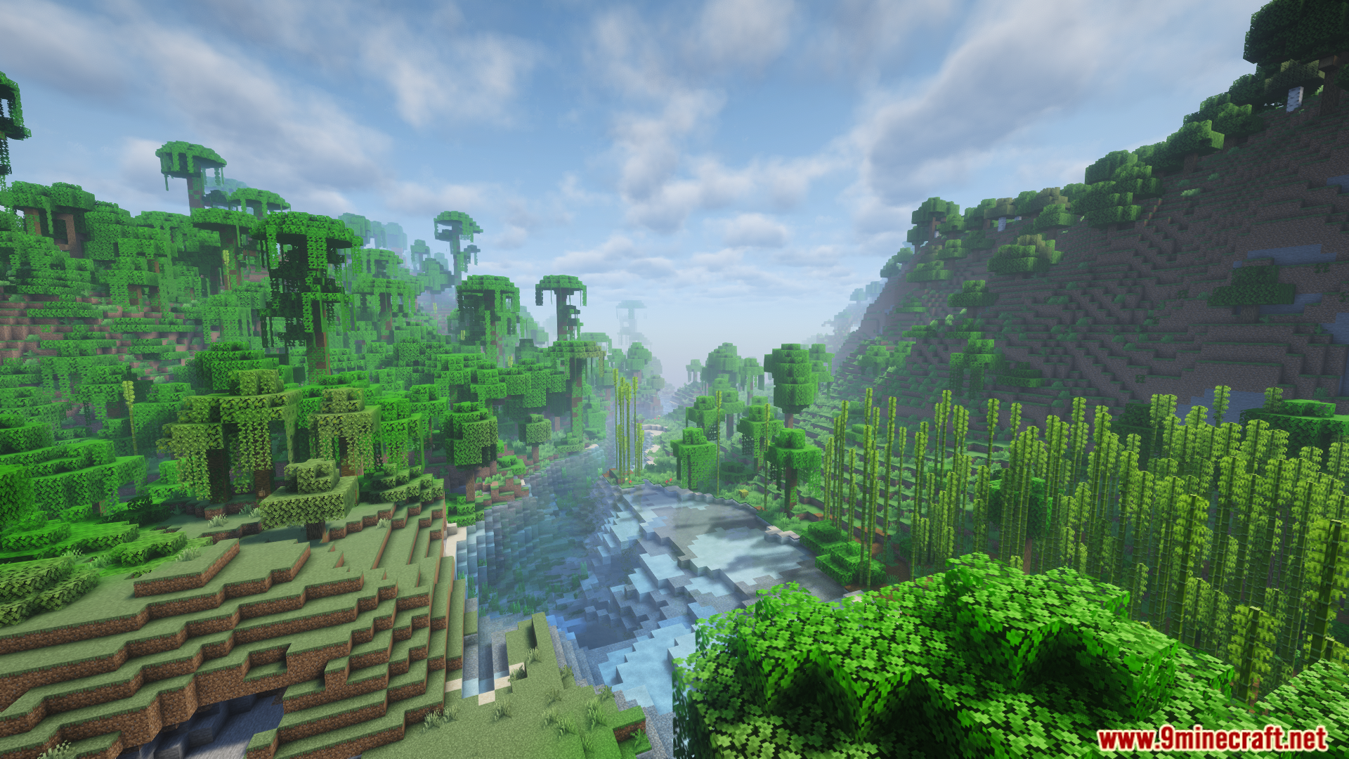 A scenic view of a lush jungle river biome
