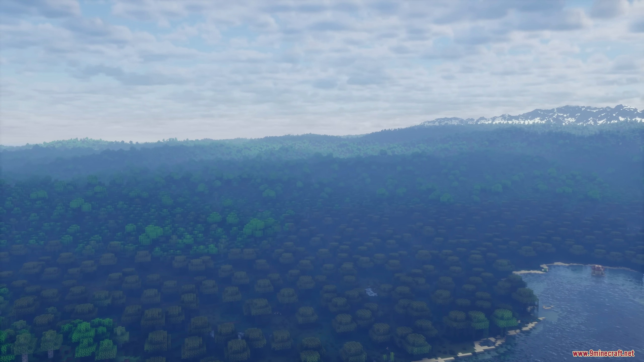 Vast forest landscape stretching toward distant mountains