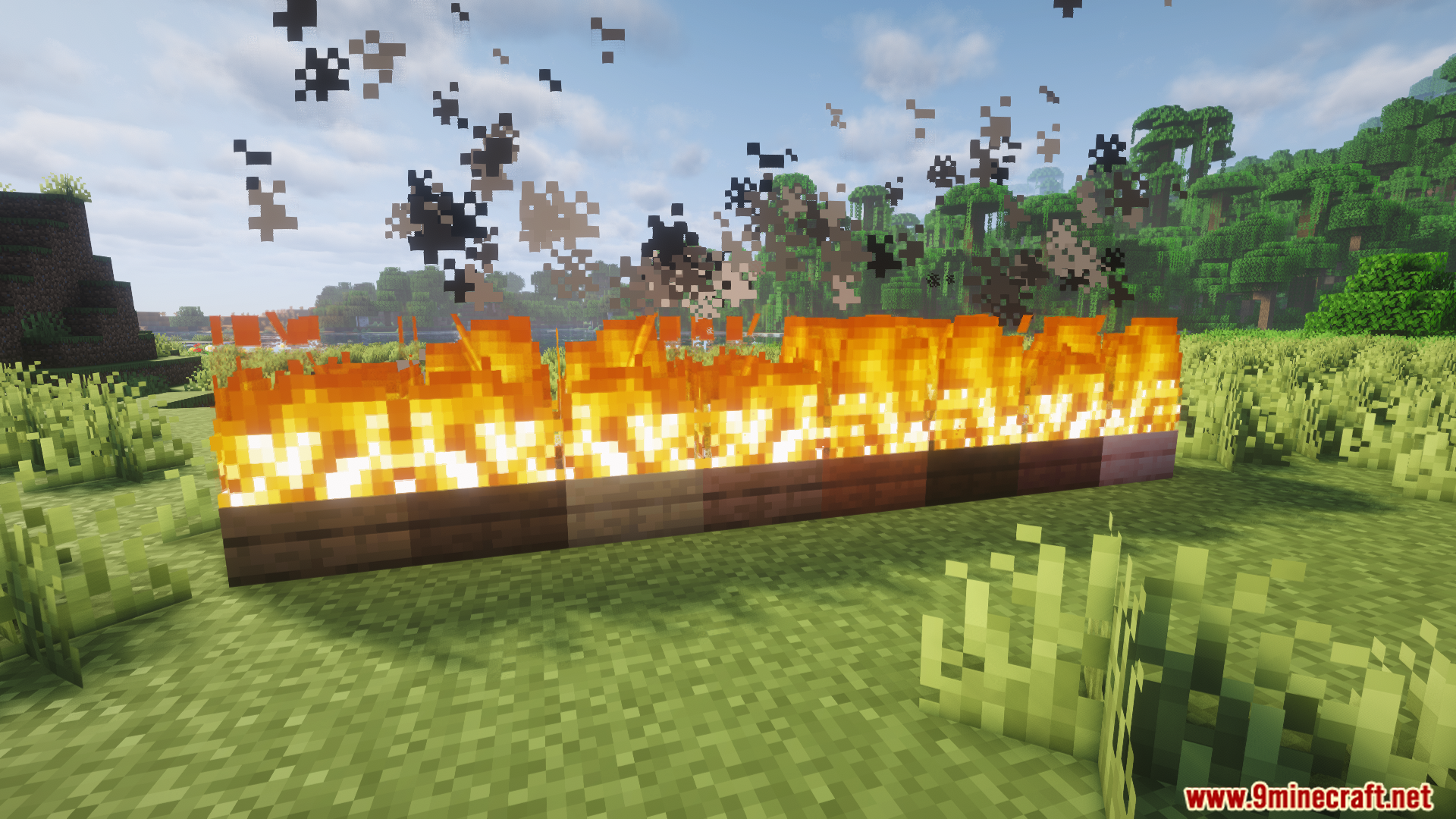 A long row of different wooden slabs burning with aligned fire