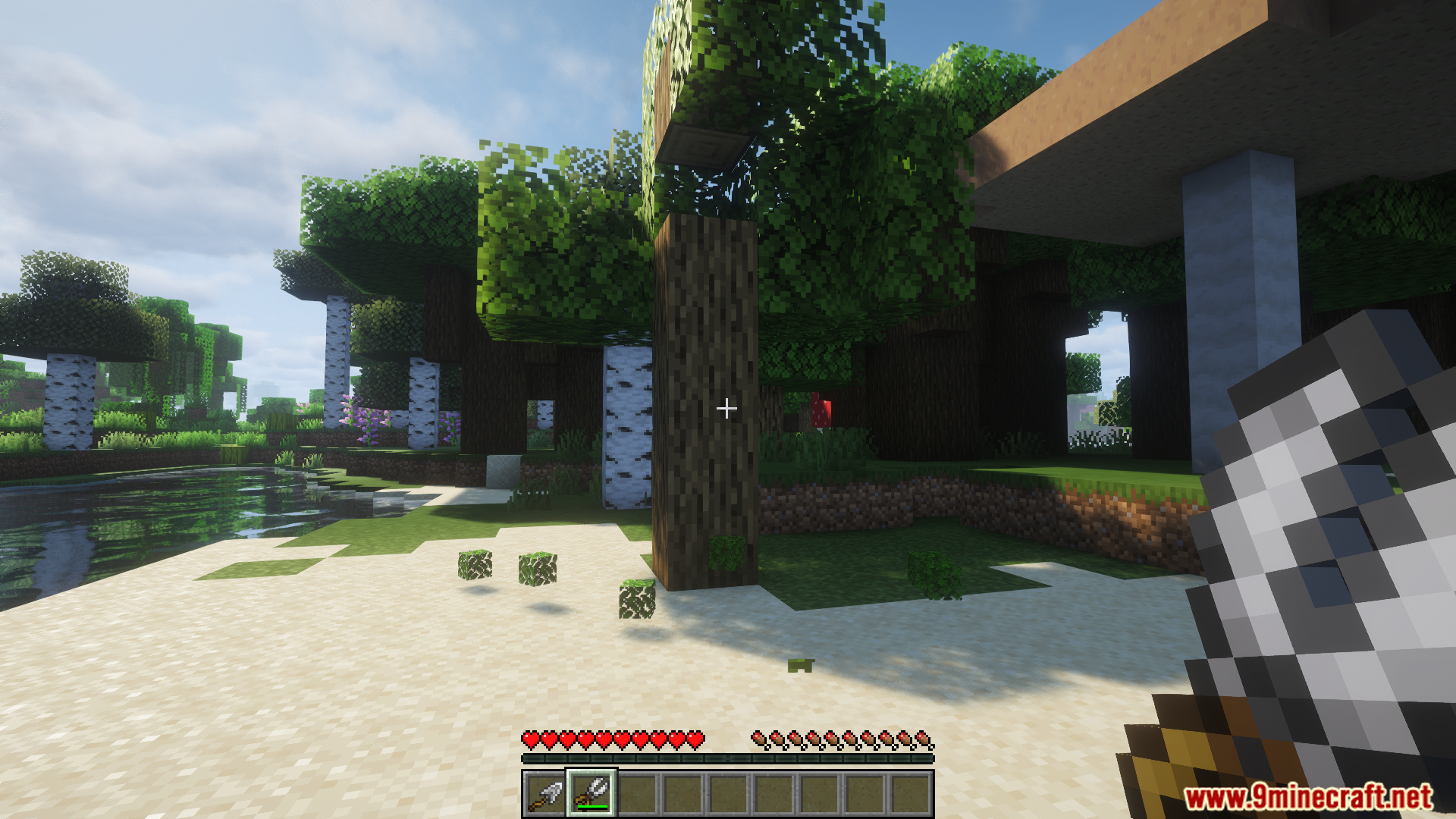 Player holding clippers near a tree with some leaves removed