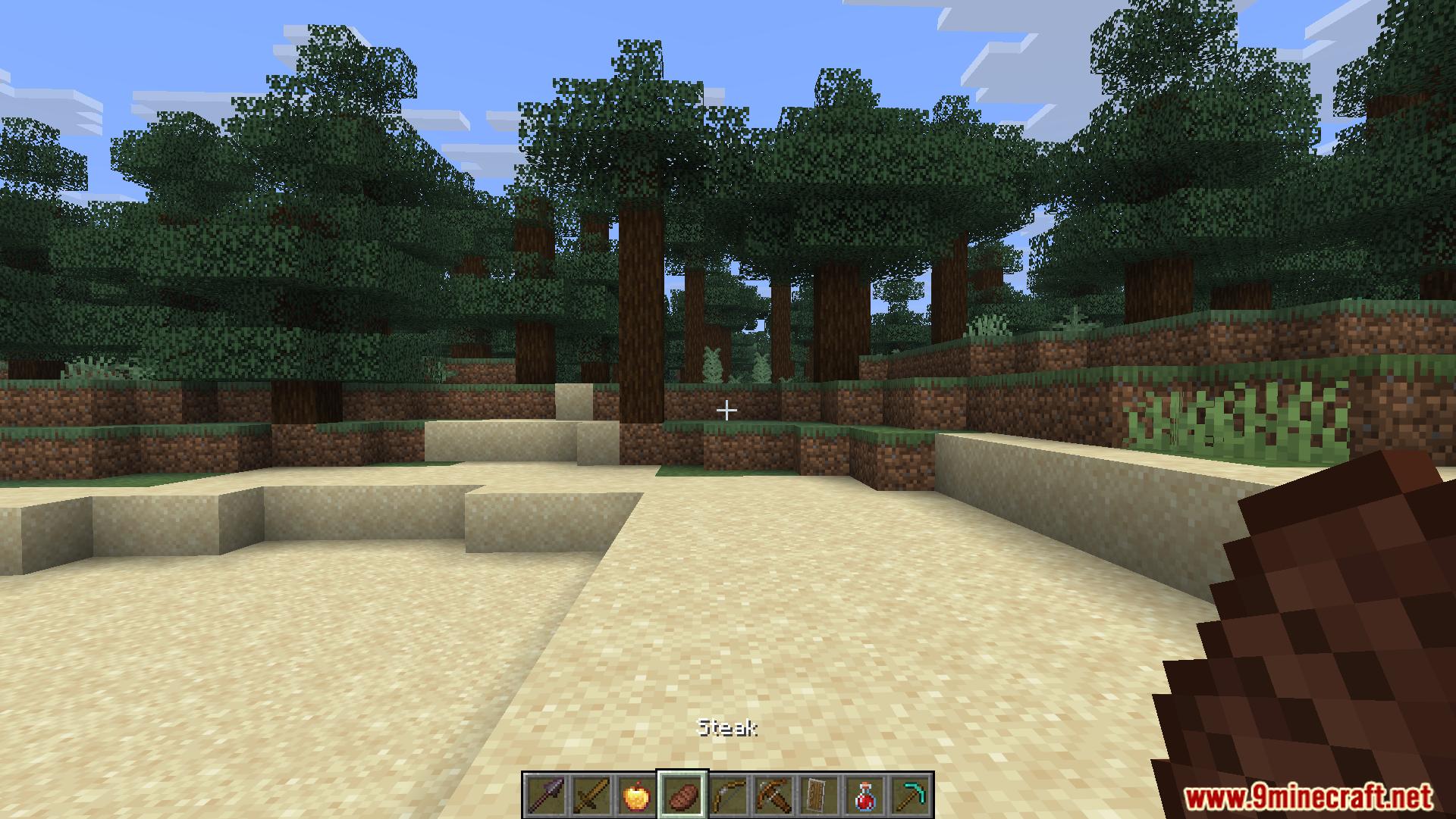 Player holding steak in hand in a forest biome