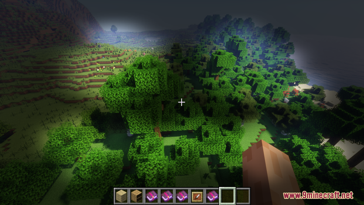 Player looking at forest with clear pumpkin view