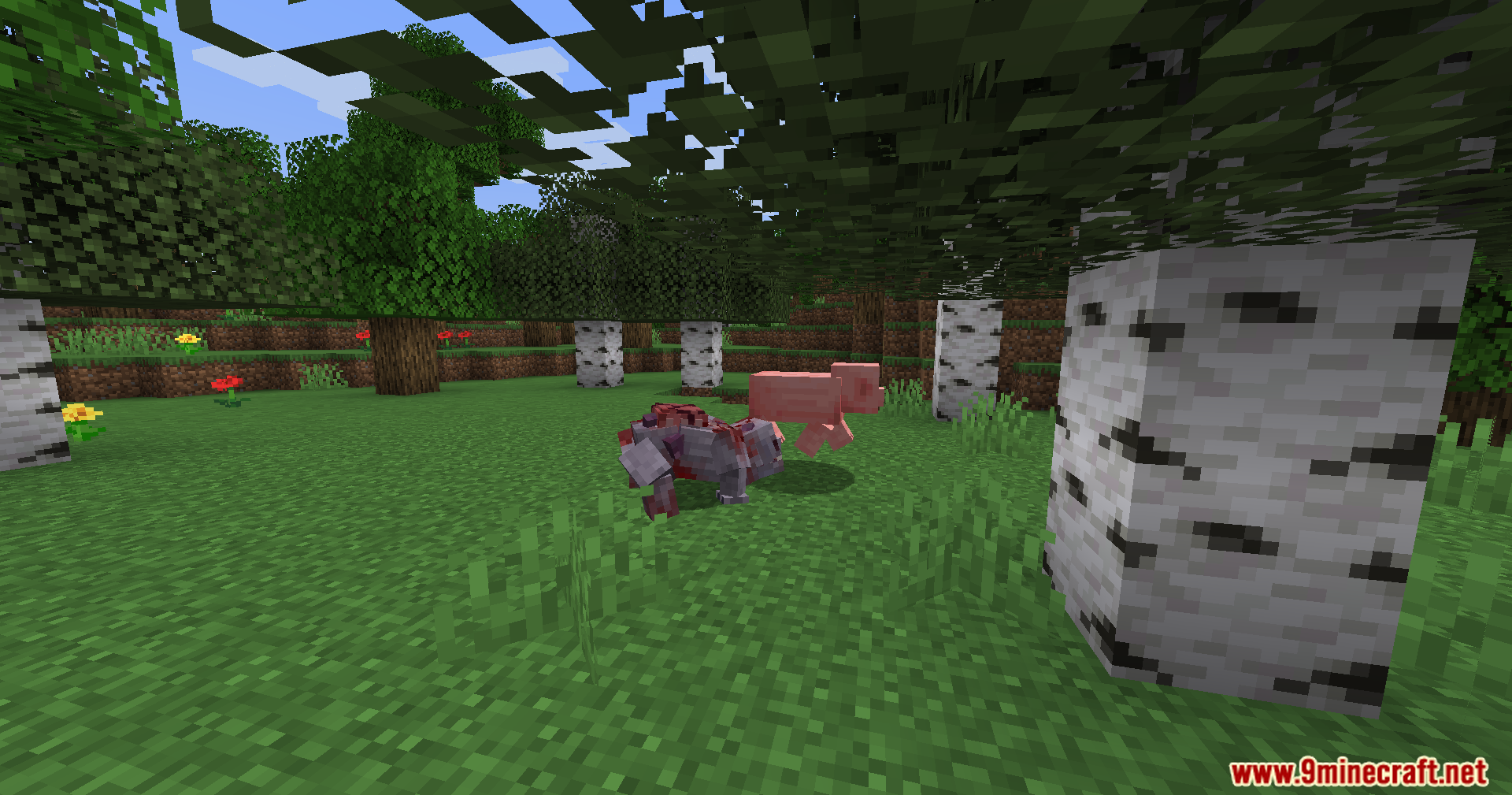 Infected pig chasing a normal pig in Ultimate Zombie Apocalypse Mod