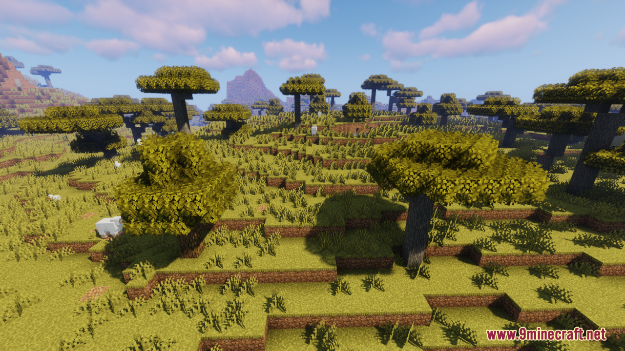 Bushy acacia trees scattered across a sunny savanna biome landscape