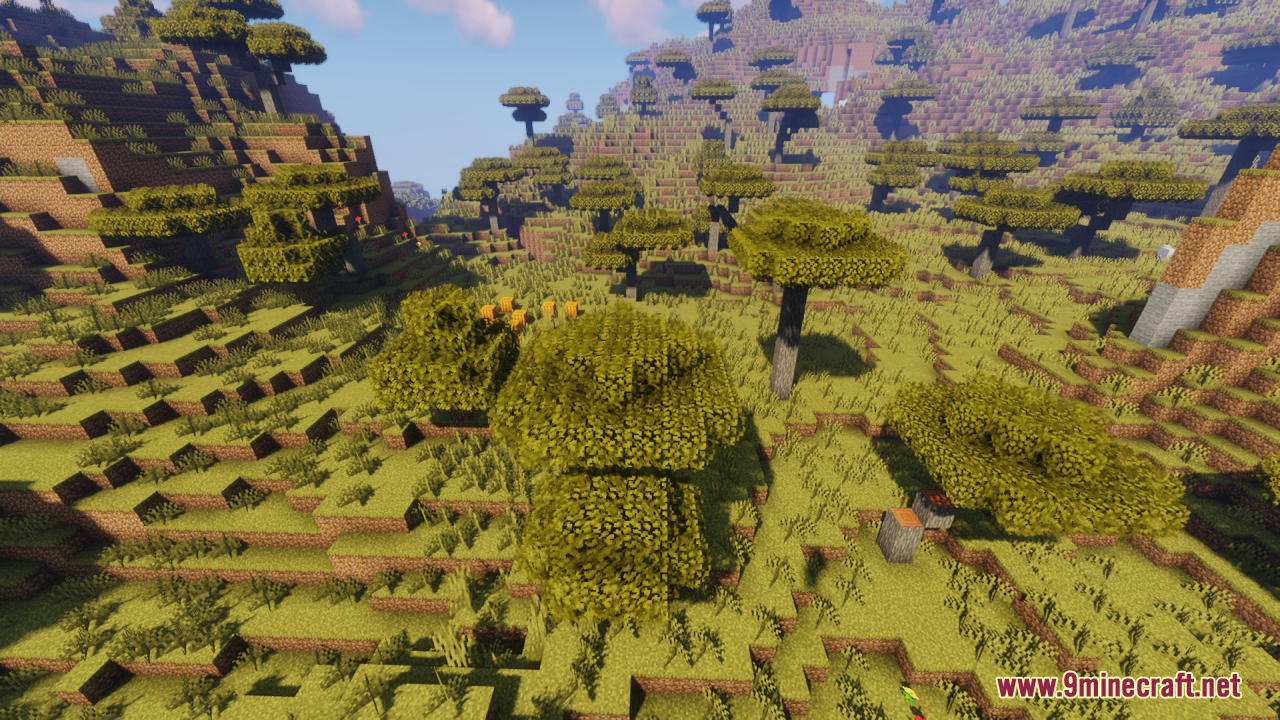 Savanna trees with thick bushy leaves in a sunny landscape