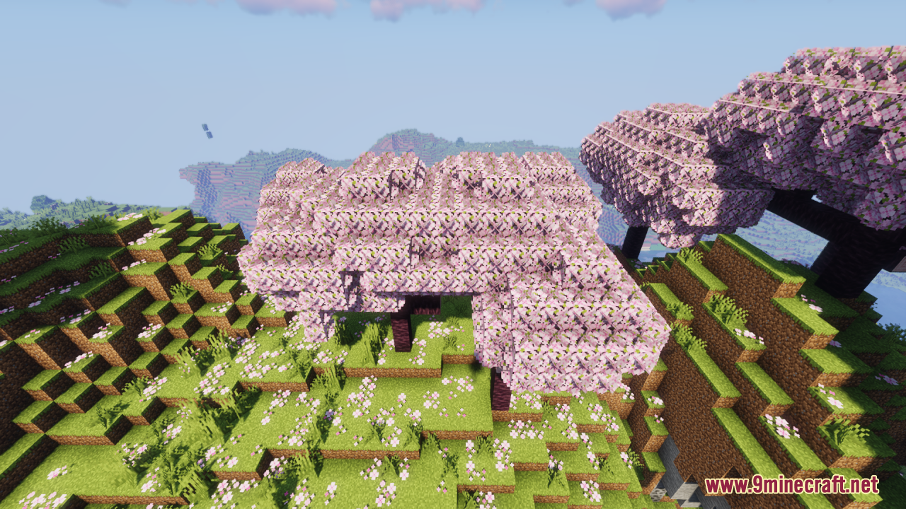 Angled view of bushy pink cherry blossom trees on a grassy hill