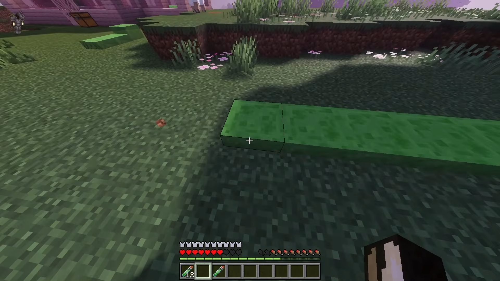 Player looking at a path of green slime blocks on grass