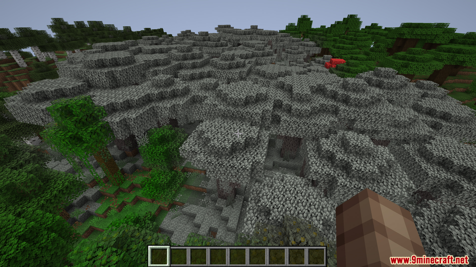 Massive grey tree canopy covering a section of the forest