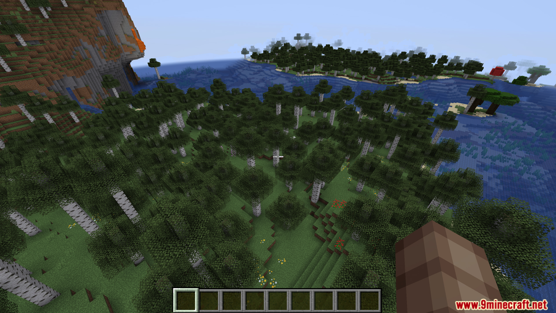 Aerial view of a birch forest biome near an ocean