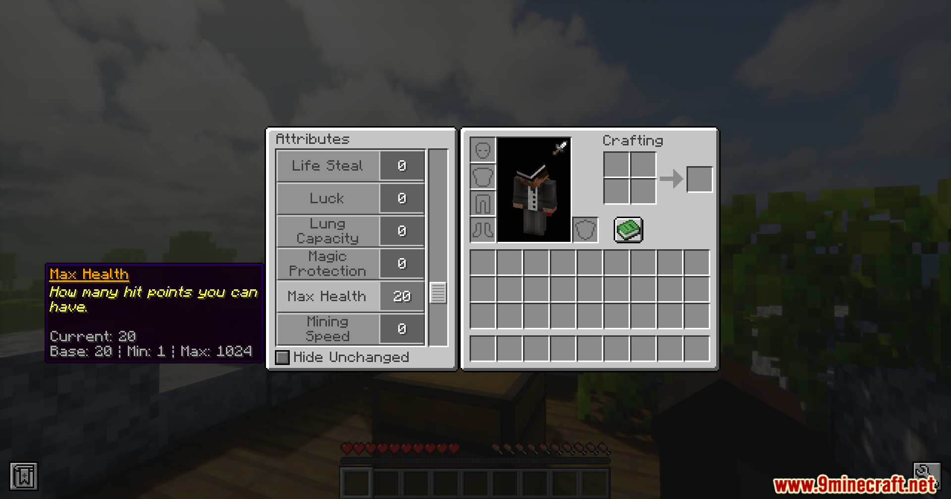 Player viewing Max Health attribute in Minecraft inventory menu