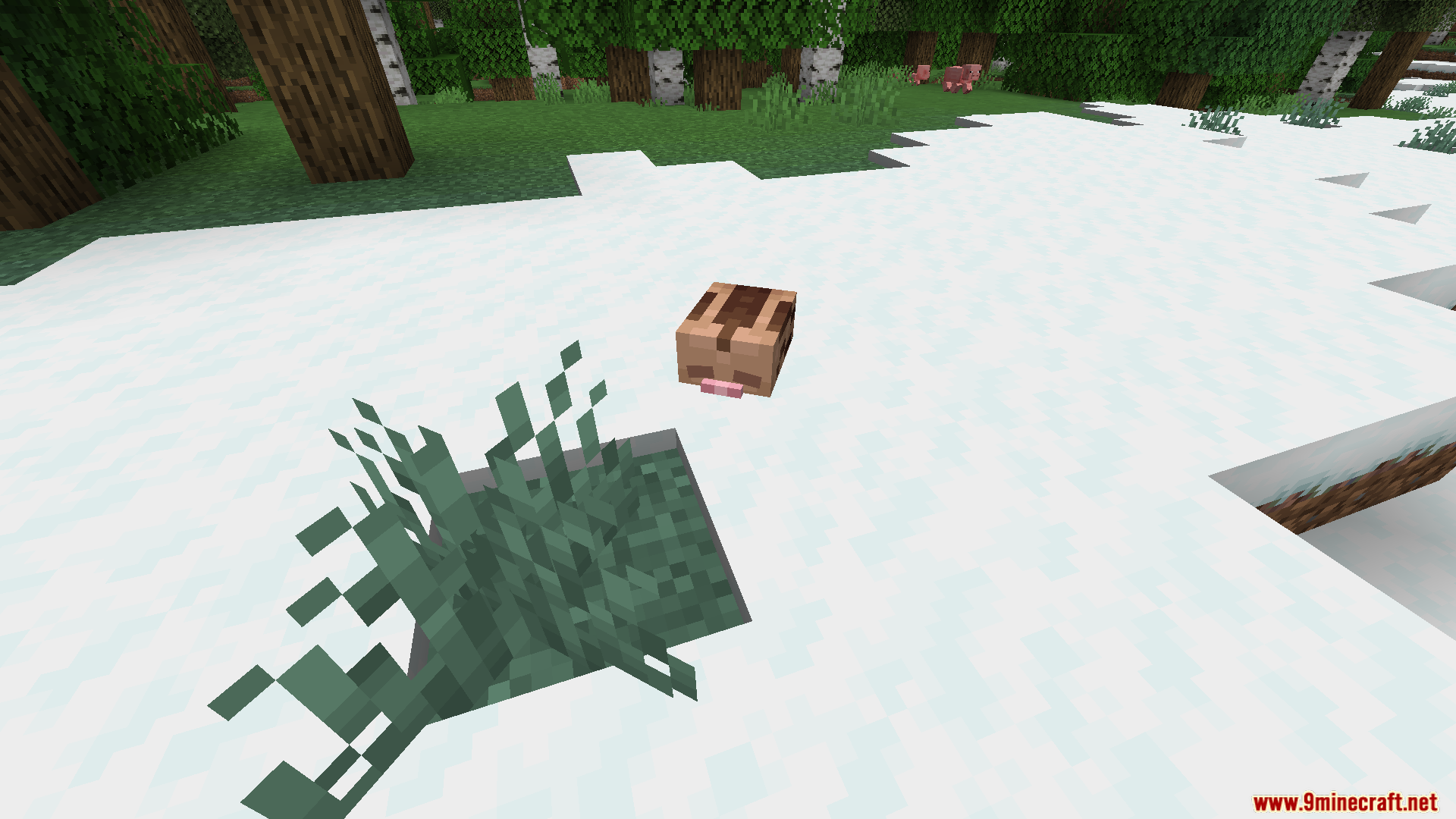 Small brown Swinub standing on snow in a winter biome
