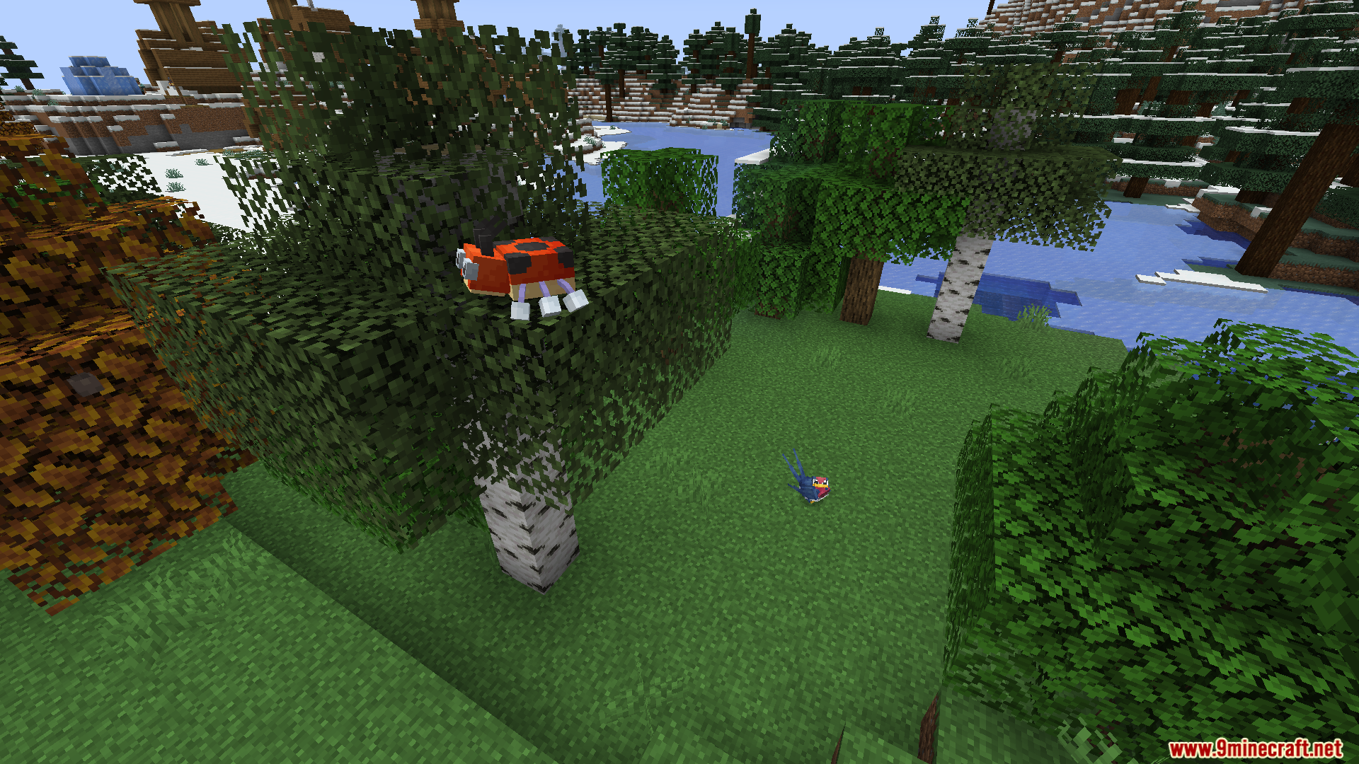 Red Ledyba on tree leaves above a blue Taillow bird