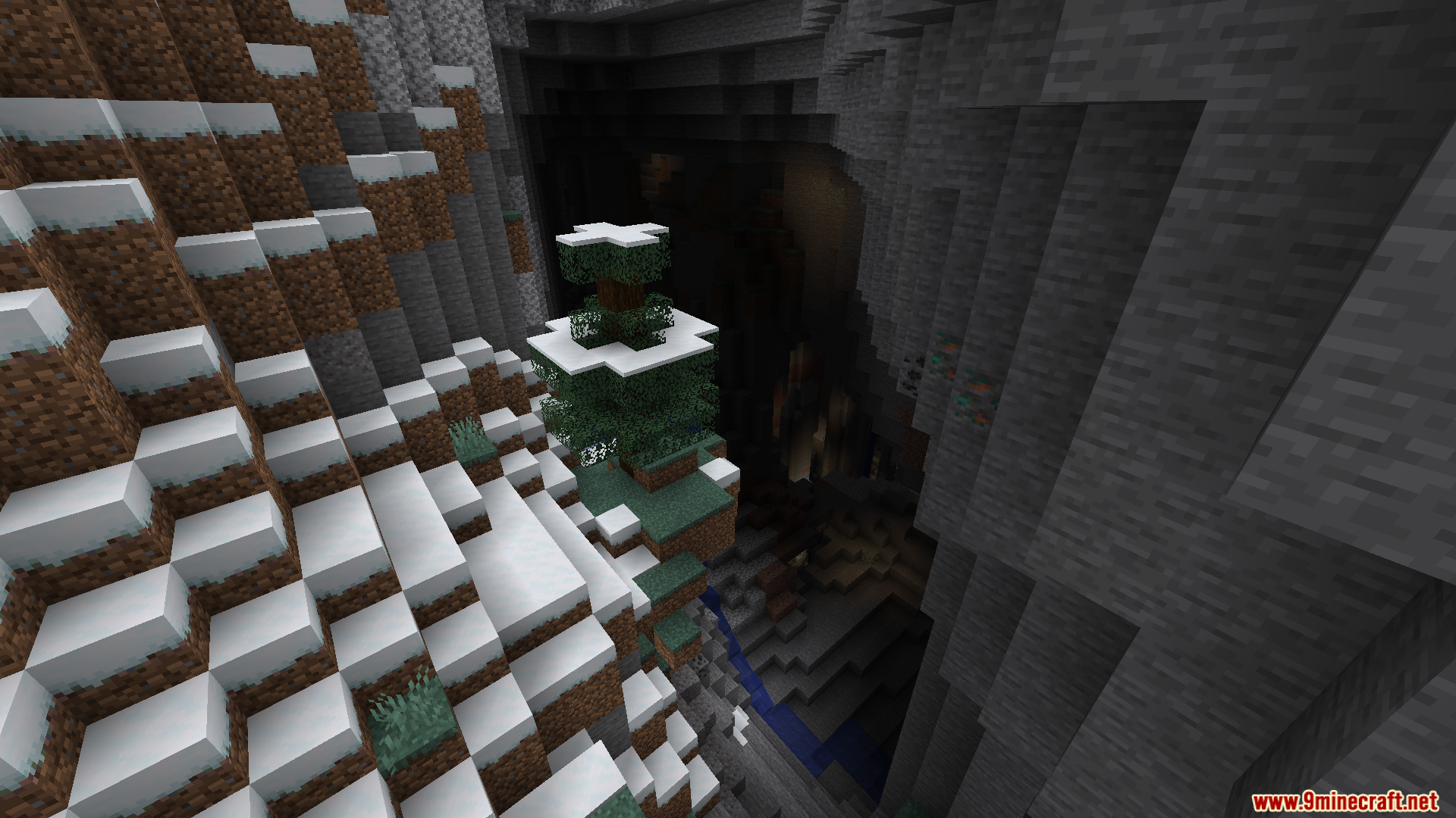 A lone, snow-covered tree overlooking a deep canyon