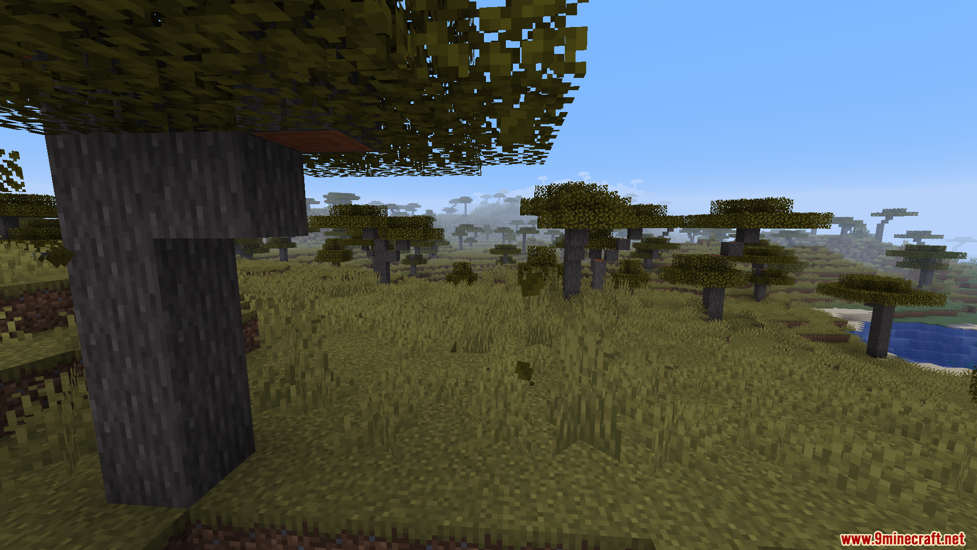 WorldWeaver Neoforge Mod Screenshot 2 Close up of custom tree trunk in savanna biome