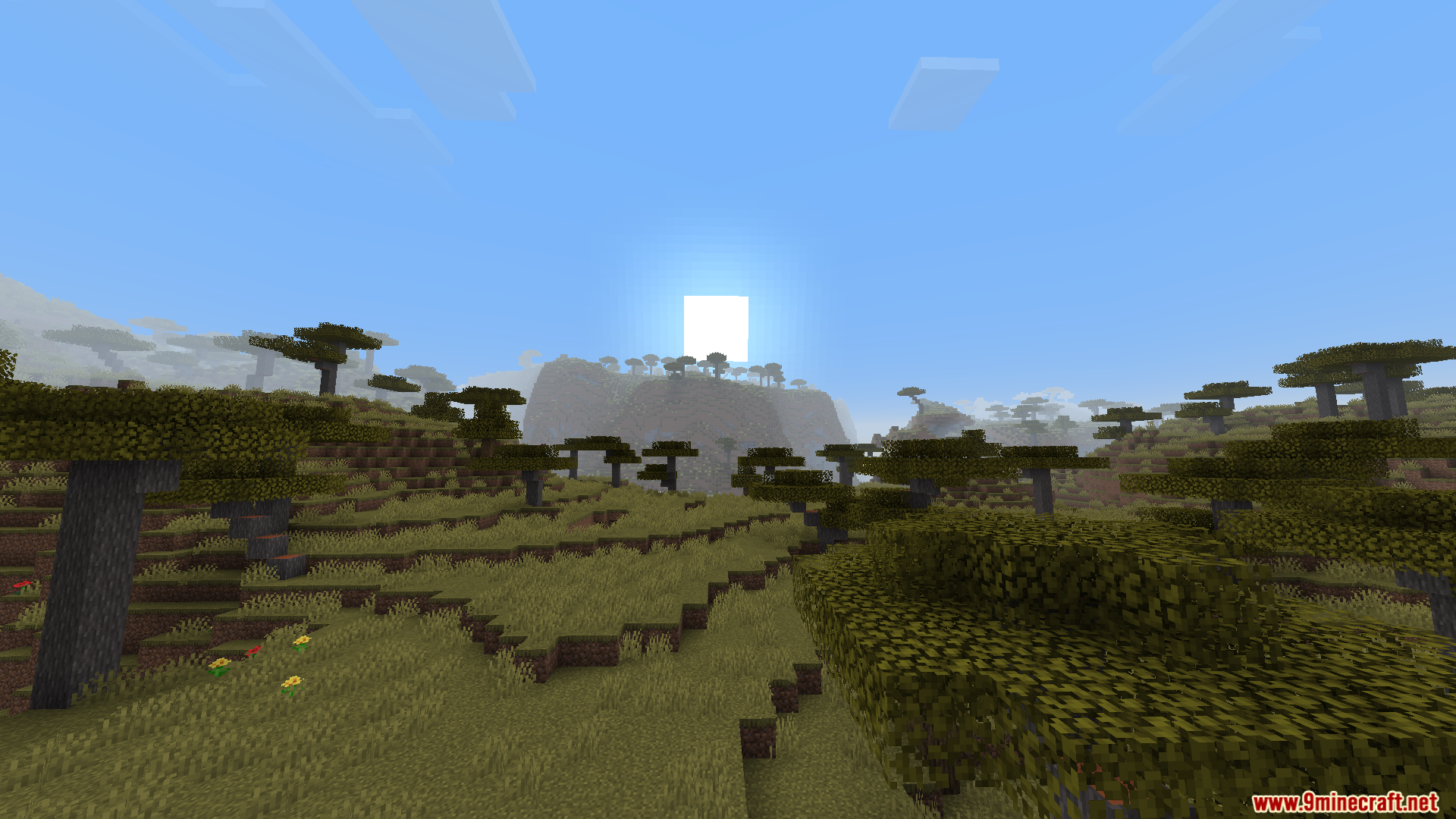 WorldWeaver Neoforge Mod Screenshot 3 Wide view of savanna landscape with scattered trees