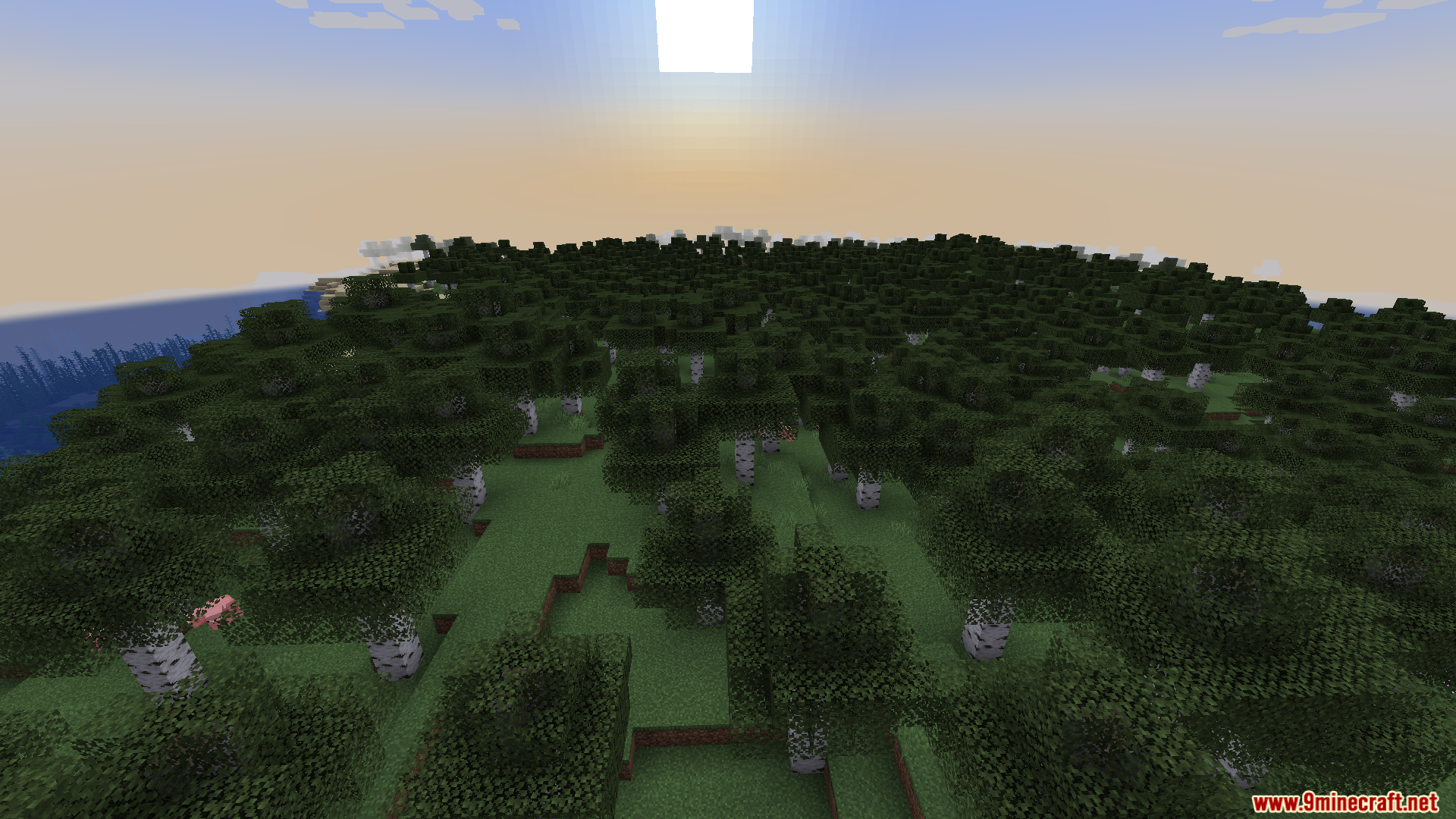 Large dense birch forest biome landscape viewed from high above