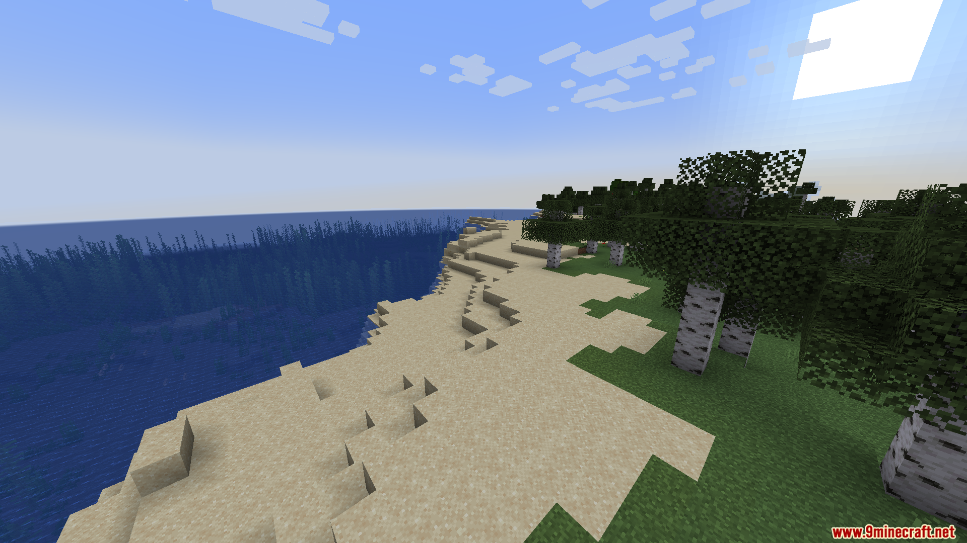 Minecraft sandy beach shoreline meeting ocean water near birch forest