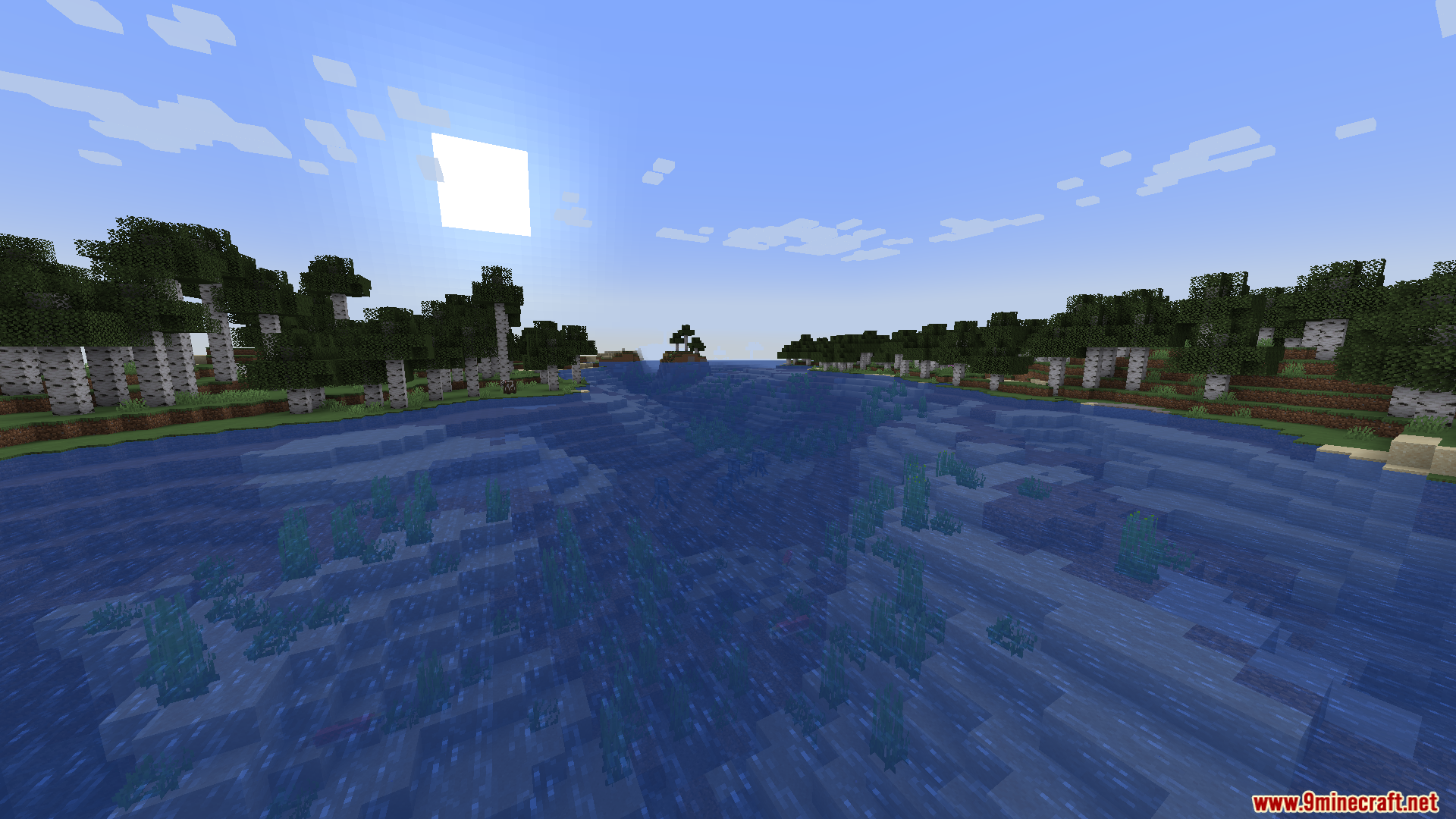 Blue river water flowing between two dense birch forest shores