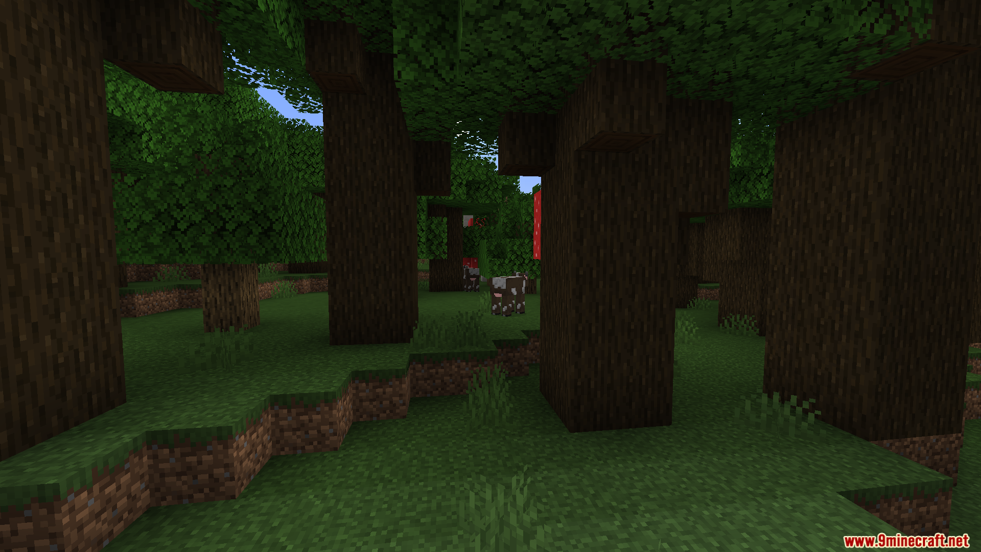 Dark oak forest interior with cows running WunderLib Neoforge Mod