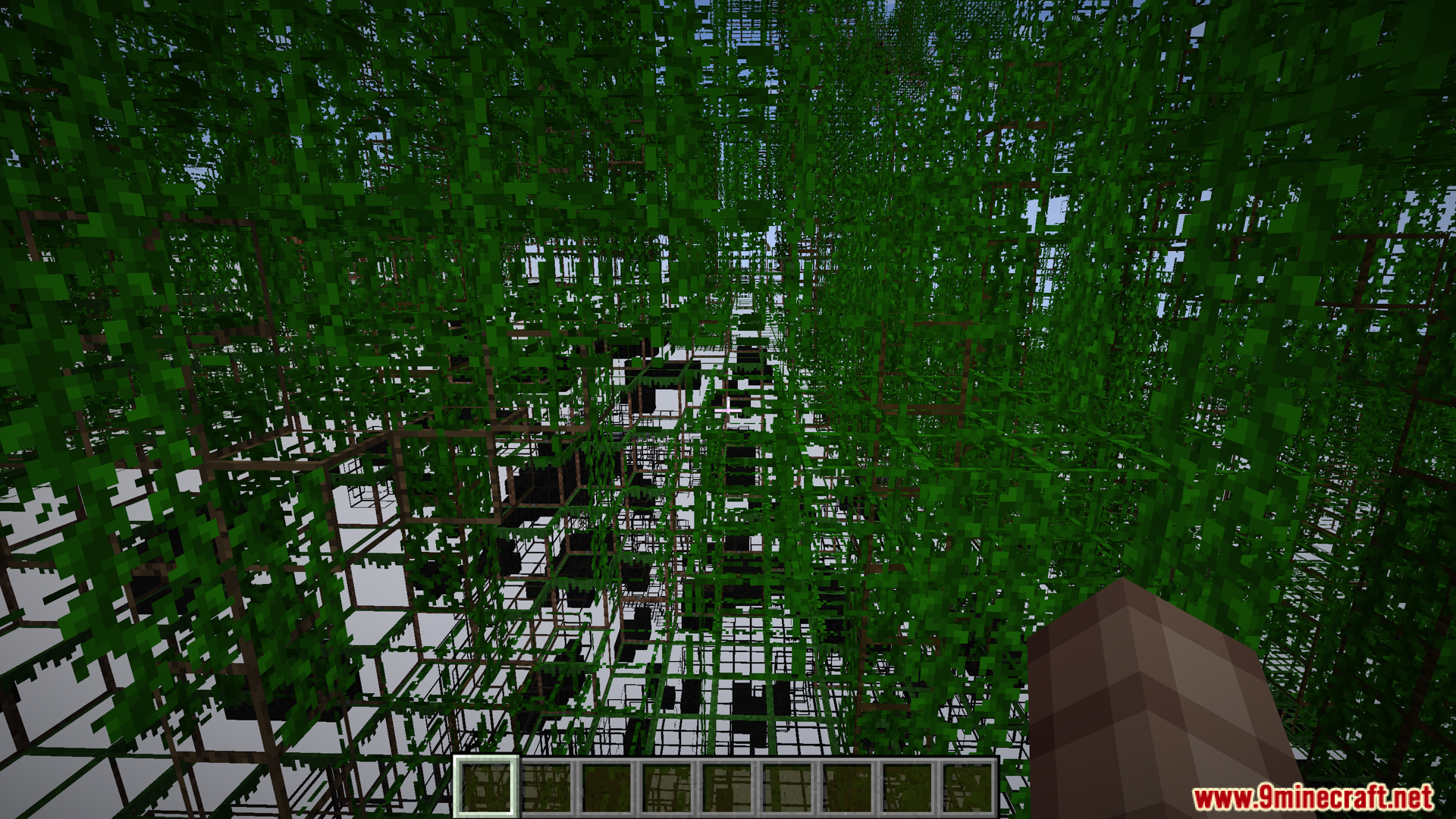 Normal view of grassy terrain and a small dirt hole
