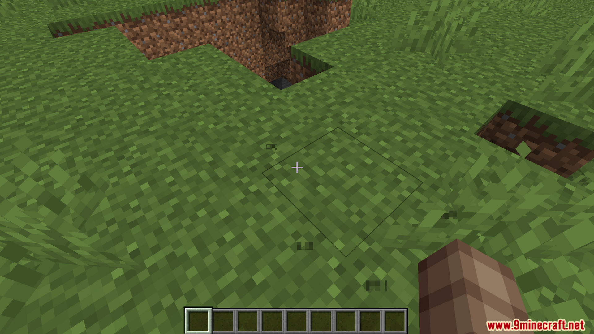 Activated Xray texture pack showing transparent blocks and underground areas