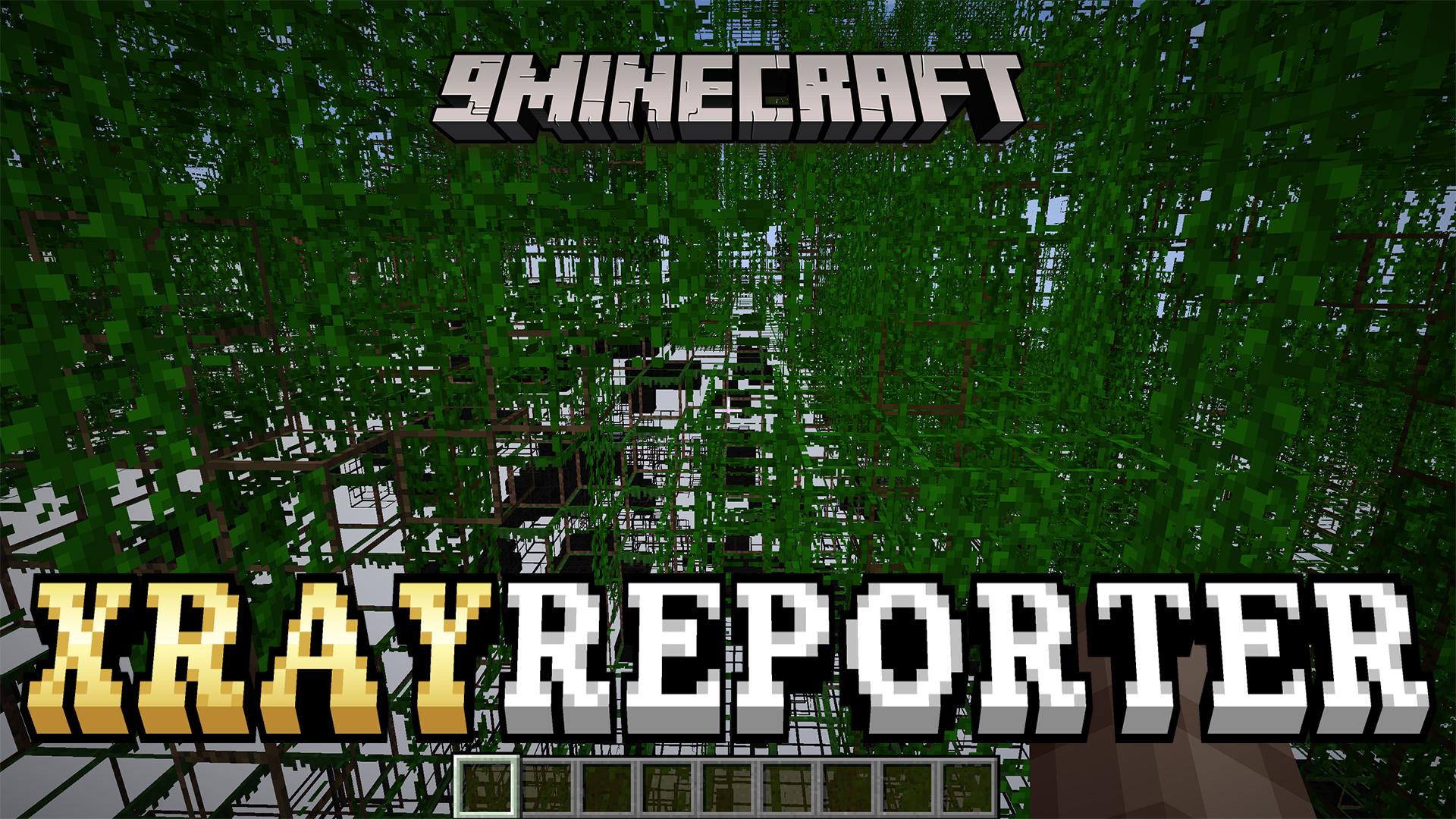 Xrayreporter Mod