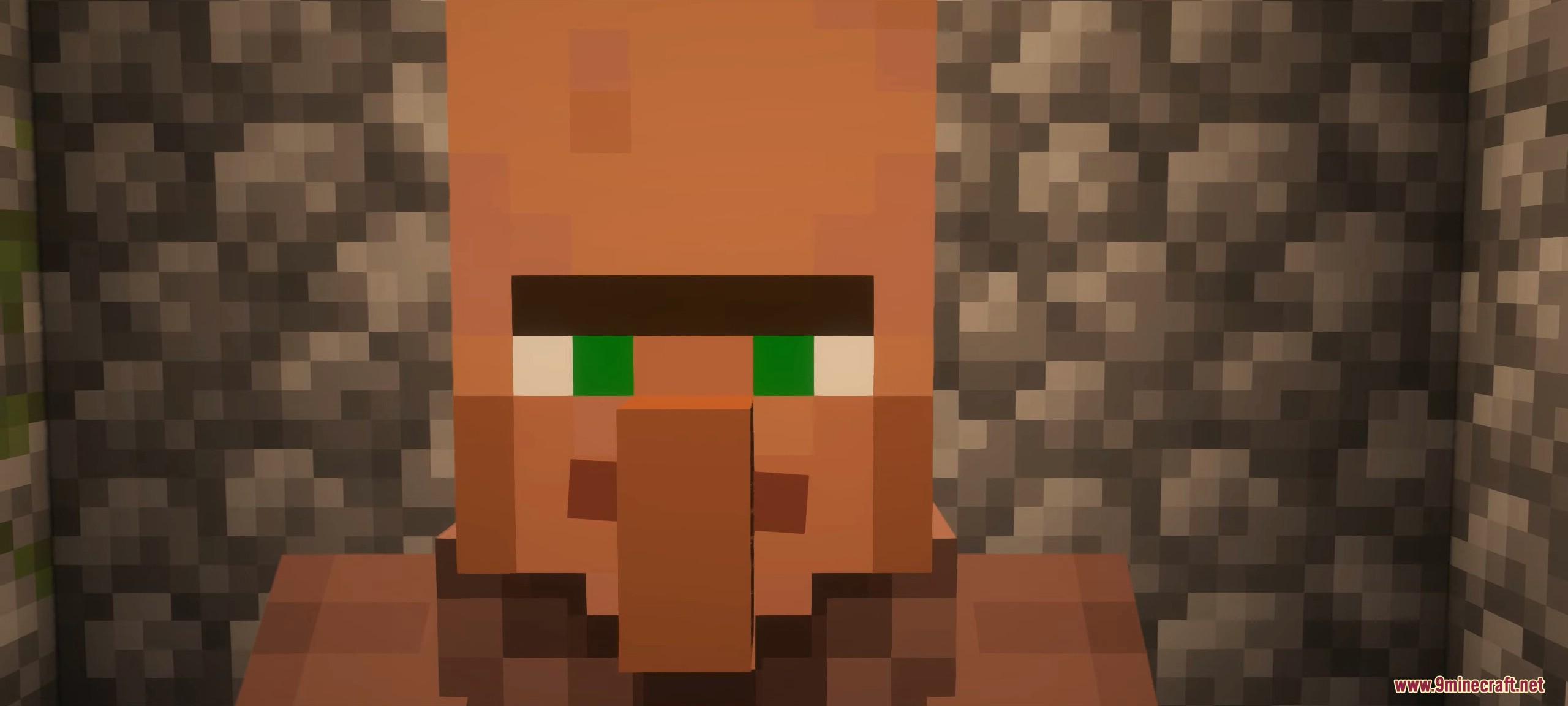 An extreme close up of a villager's face