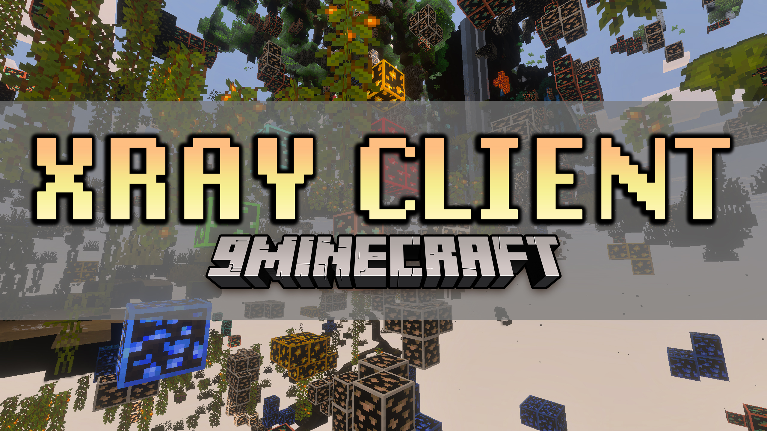 9minecraft Xray Client