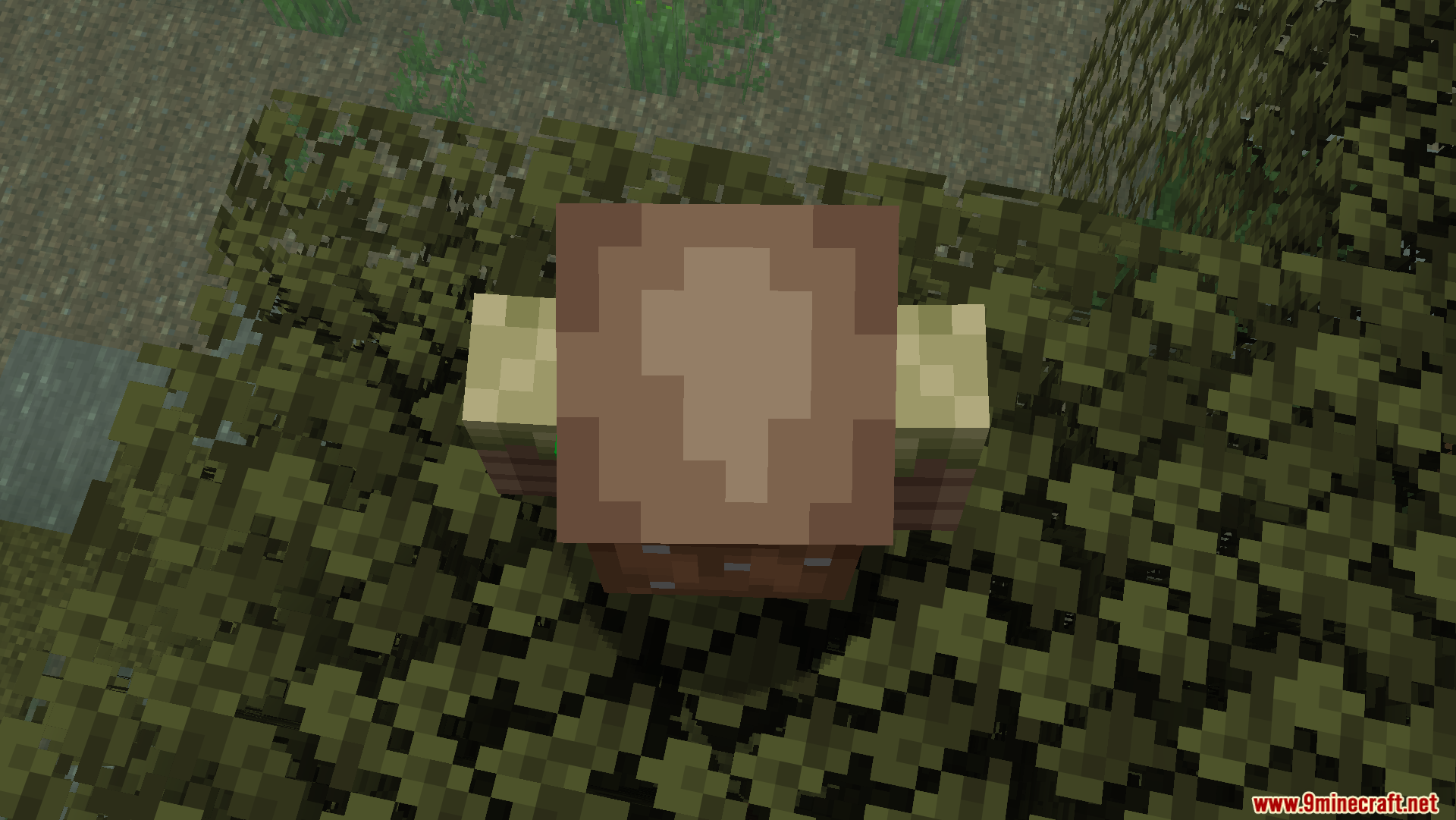 AFK Cinematics Mod Screenshot 3 Top down cinematic camera view of a player standing on tree leaves