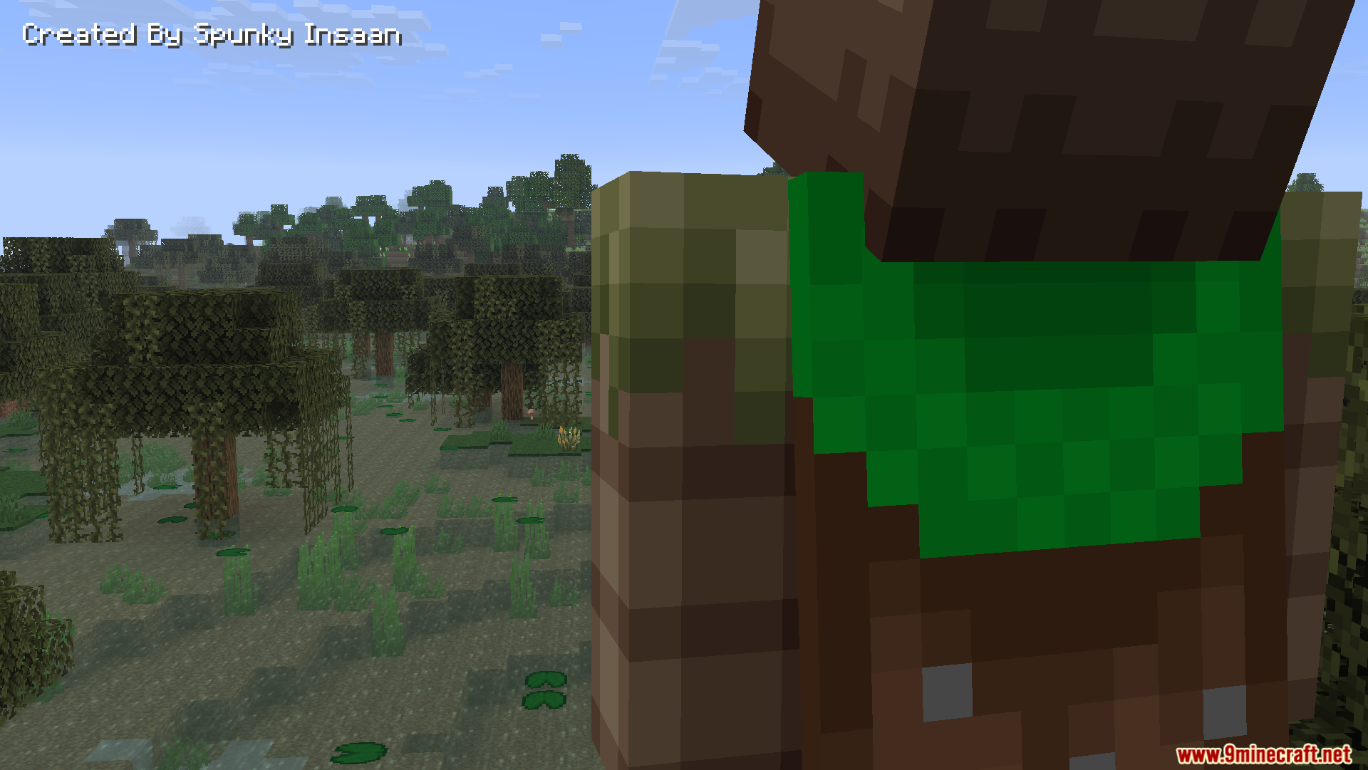AFK Cinematics Mod Screenshot 7 Close up of a player character looking over a swamp biome