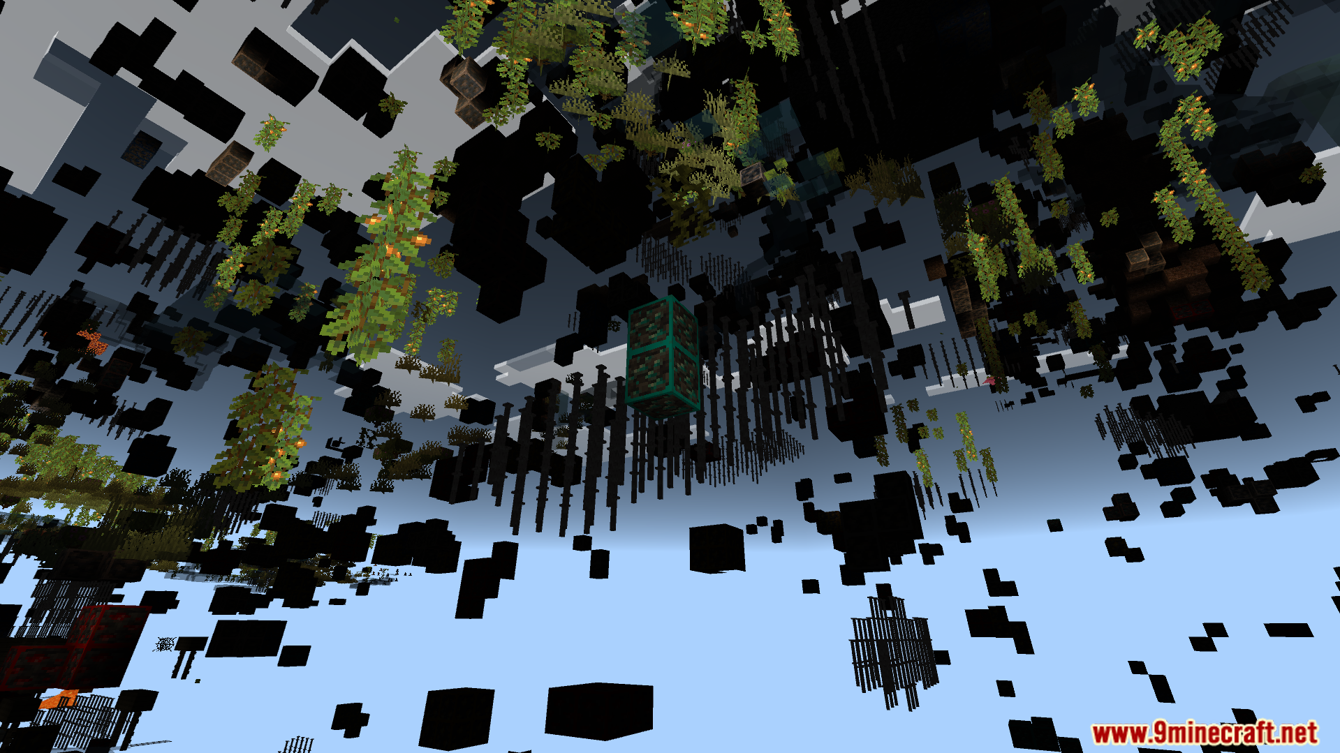 This texture pack makes common blocks like stone completely invisible