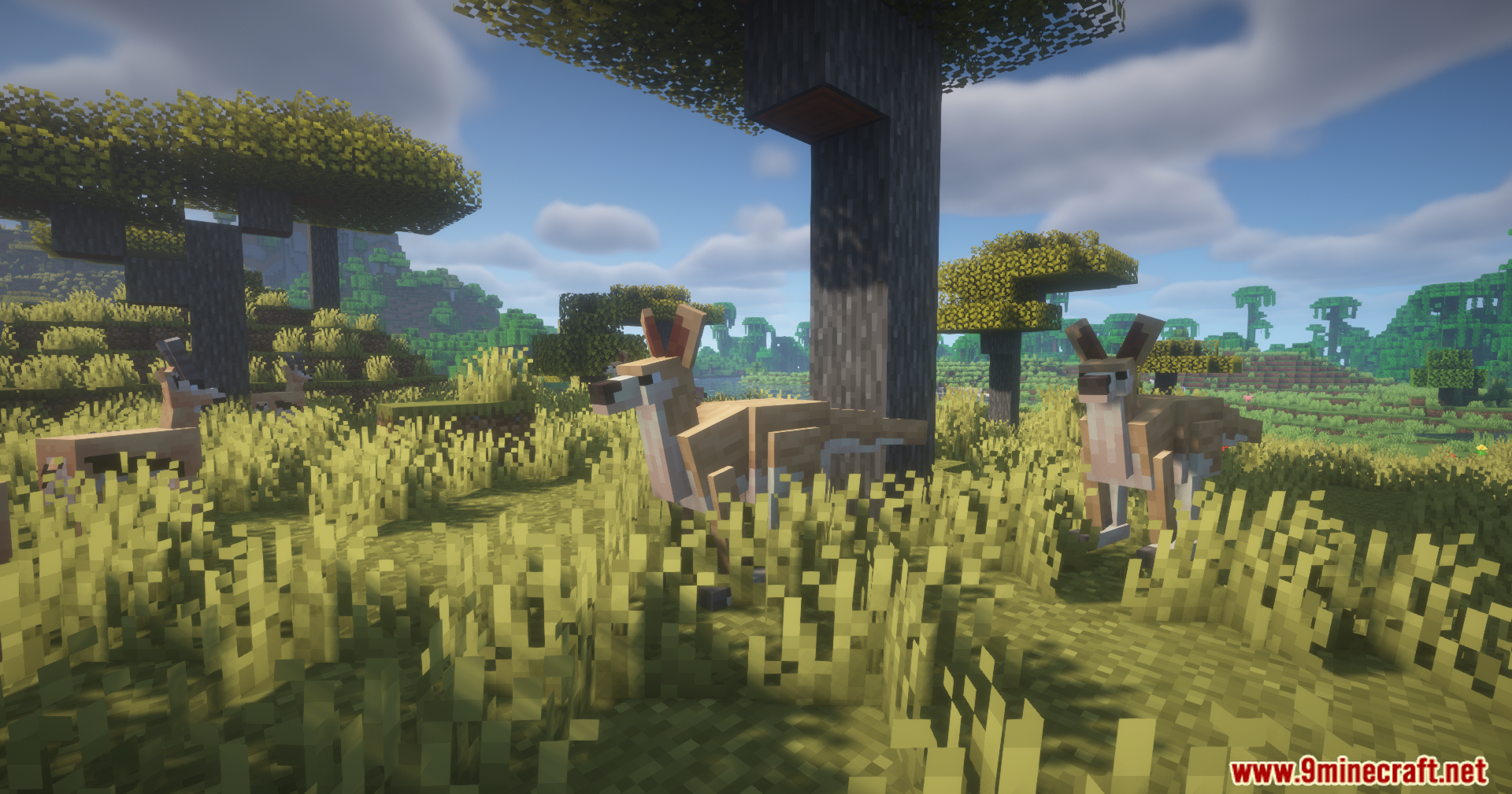Alex's Mobs Unofficial Port Mod Screenshot 10 Kangaroos hopping through tall grass in a sunny savanna landscape