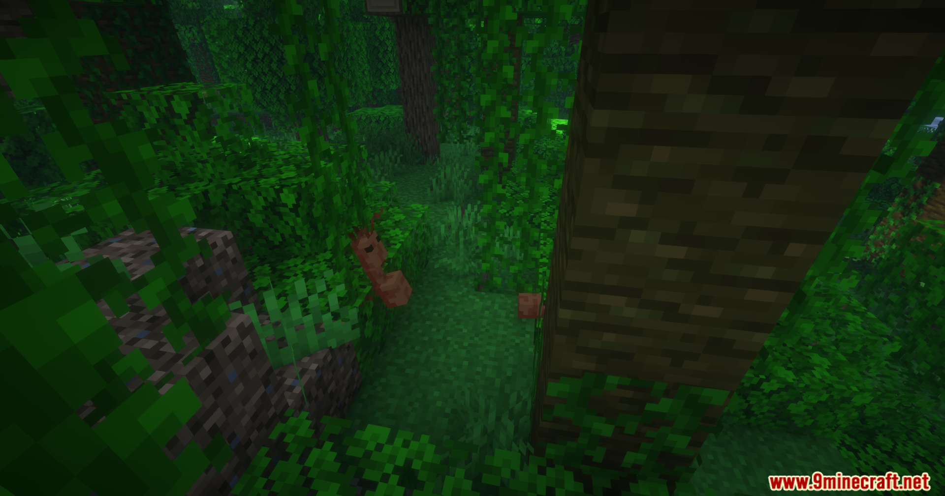Alex's Mobs Unofficial Port Mod Screenshot 12 A small brown creature stands near a tree trunk in a jungle