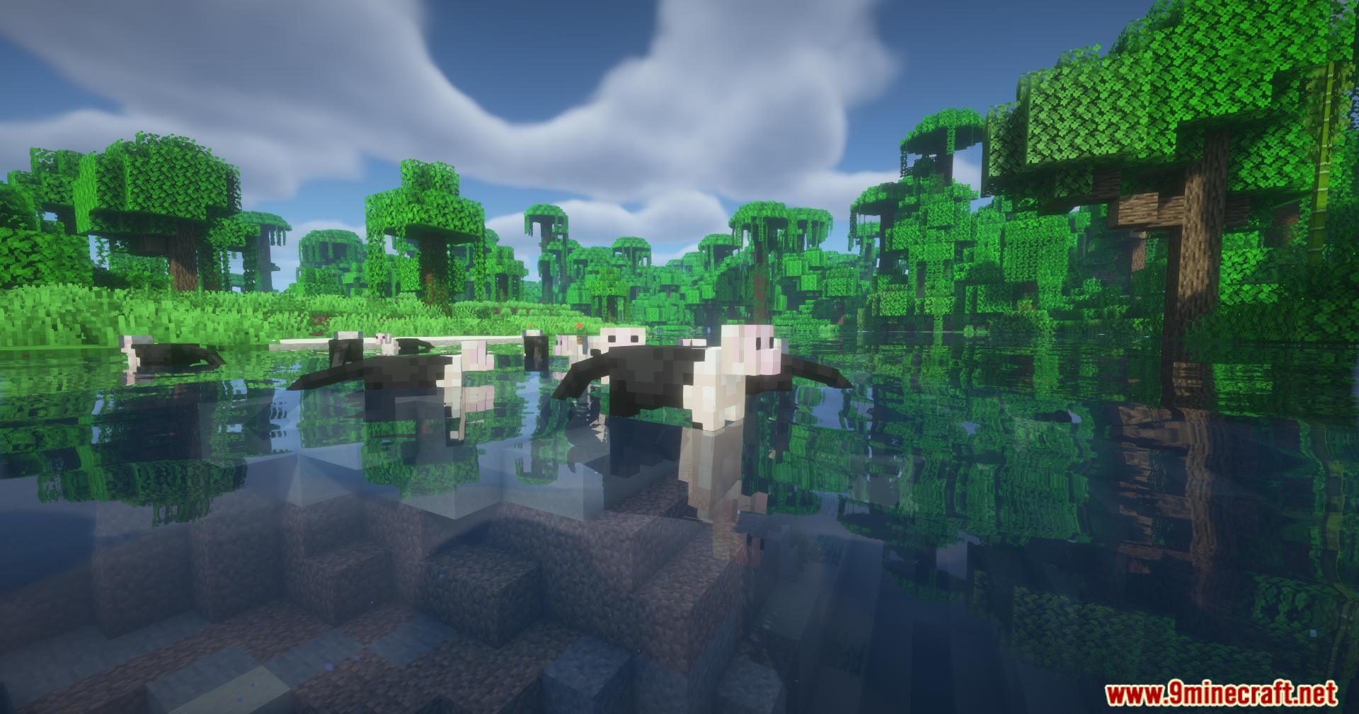 Alex's Mobs Unofficial Port Mod Screenshot 13 Group of black and white birds swimming in a jungle river