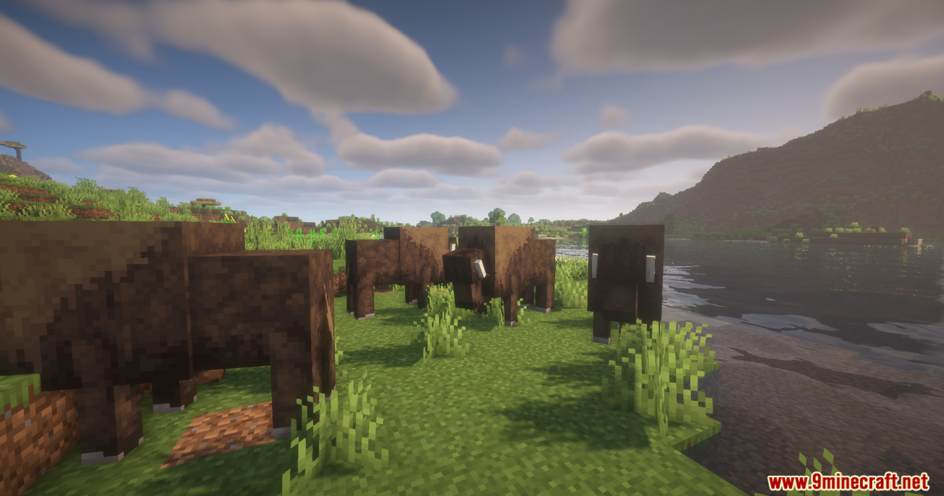 Alex's Mobs Unofficial Port Mod Screenshot 6 A group of brown bison creatures standing by the water in a valley