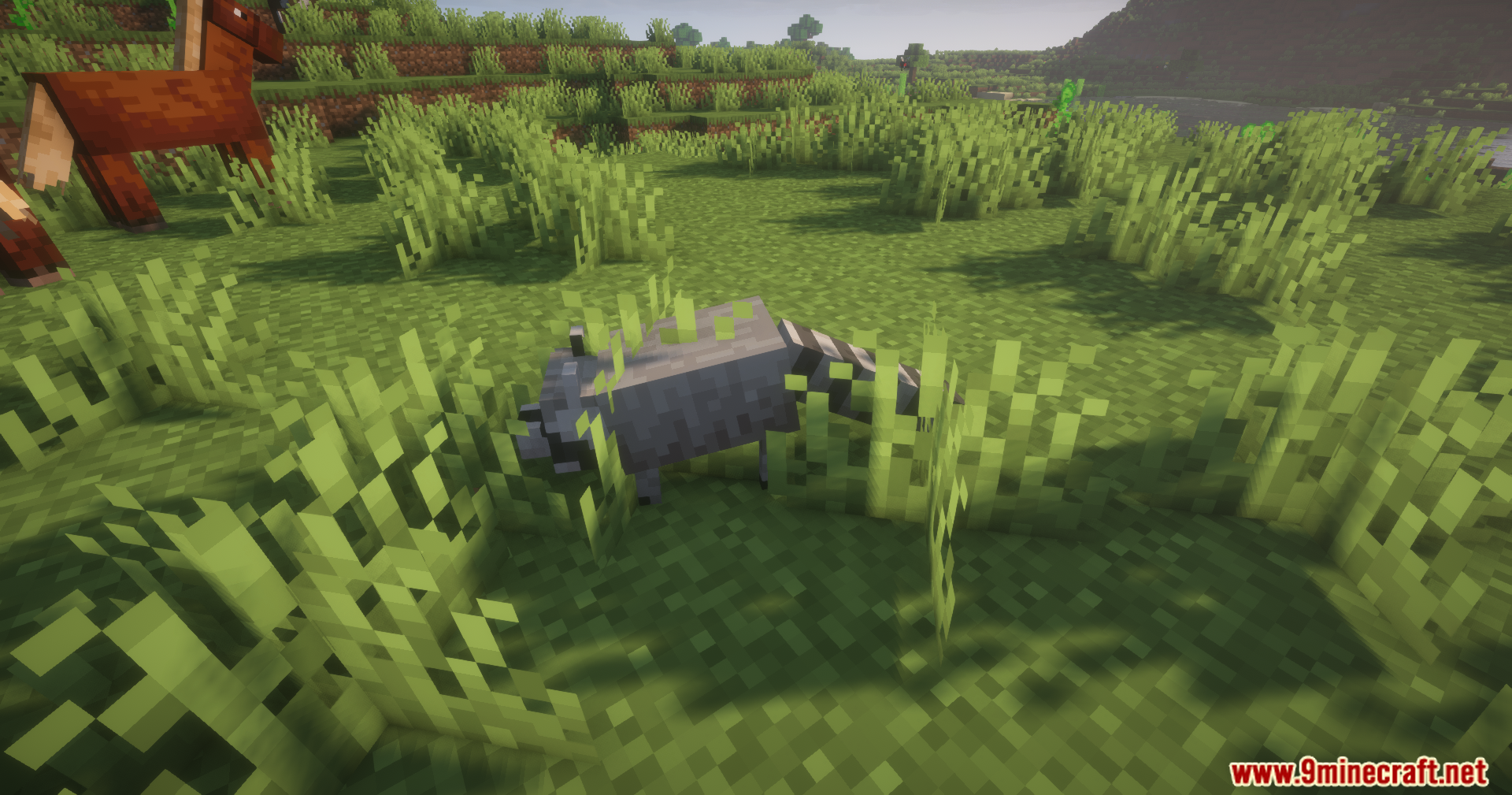 Alex's Mobs Unofficial Port Mod Screenshot 7 A grey raccoon mob standing in tall green grass in a plains biome