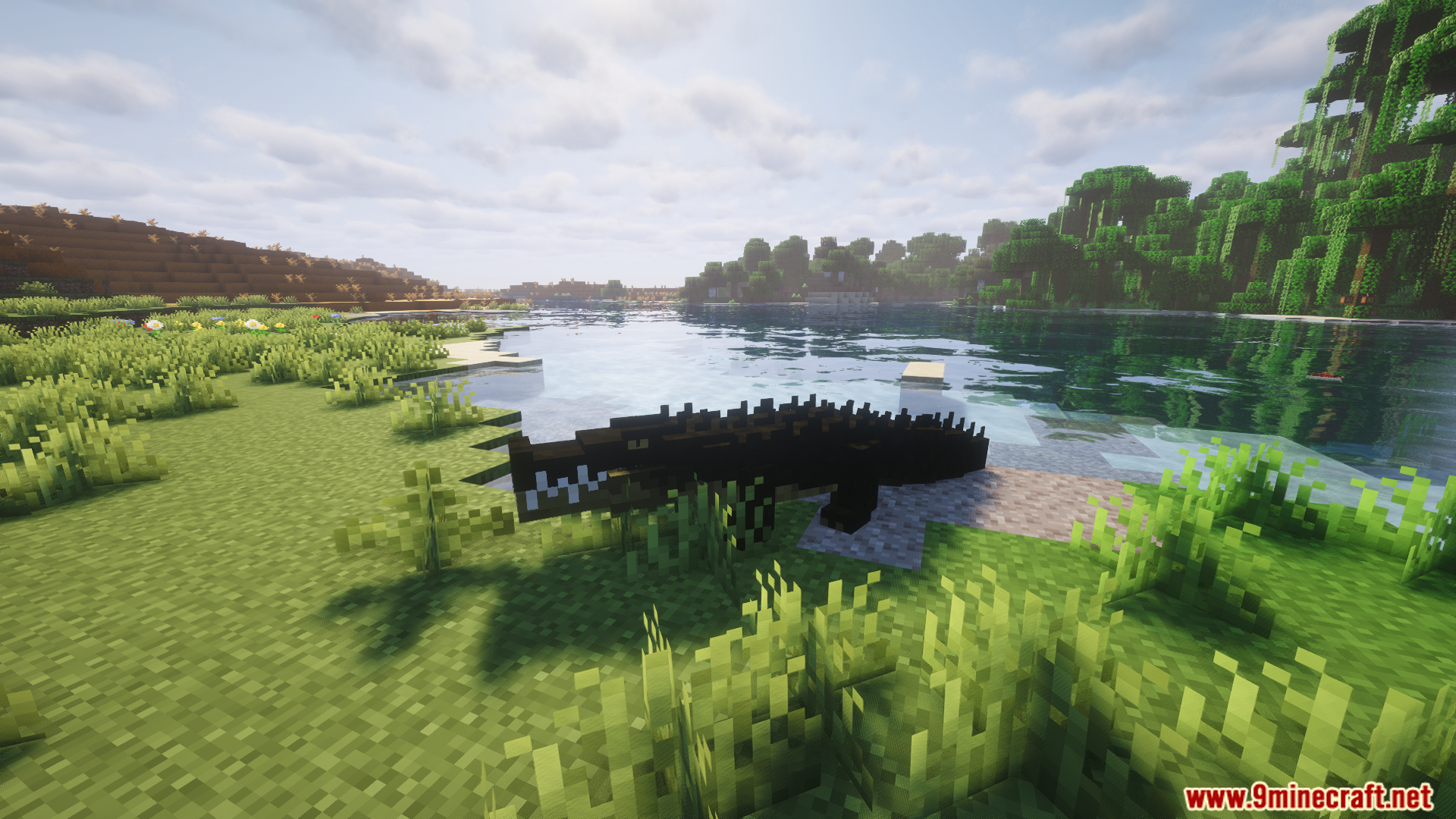 A large crocodile mob resting on the riverbank