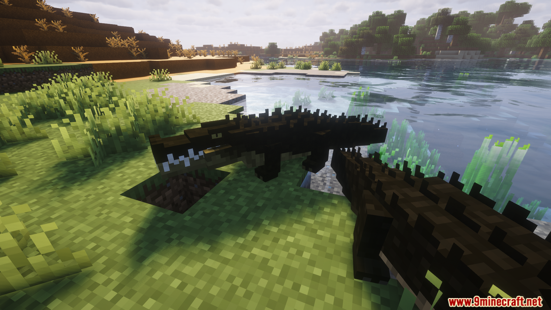 A crocodile opens its mouth as a warning sign