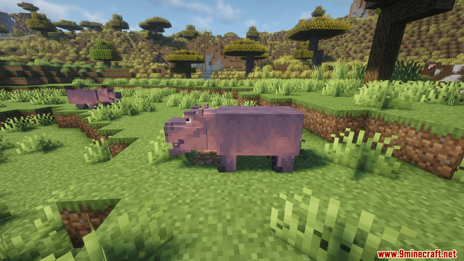 Animal Garden Hippopotamus Mod Screenshot 12 A hippo standing peacefully in a savanna biome