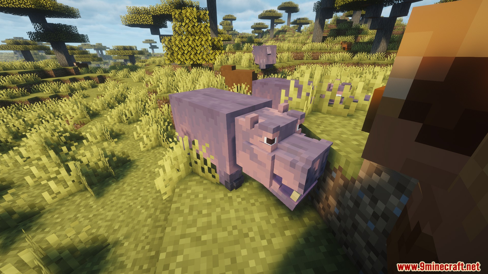 Animal Garden Hippopotamus Mod Screenshot 4 A purple hippopotamus stands in a grassy savanna biome
