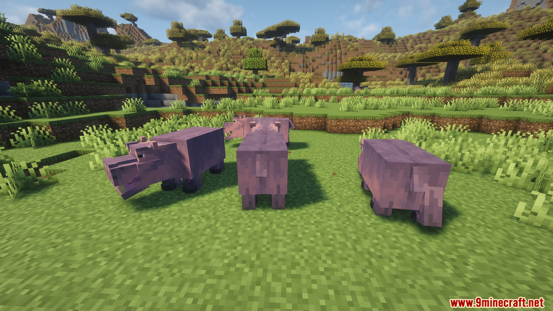 Animal Garden Hippopotamus Mod Screenshot 5 A small herd of hippos standing in the savanna