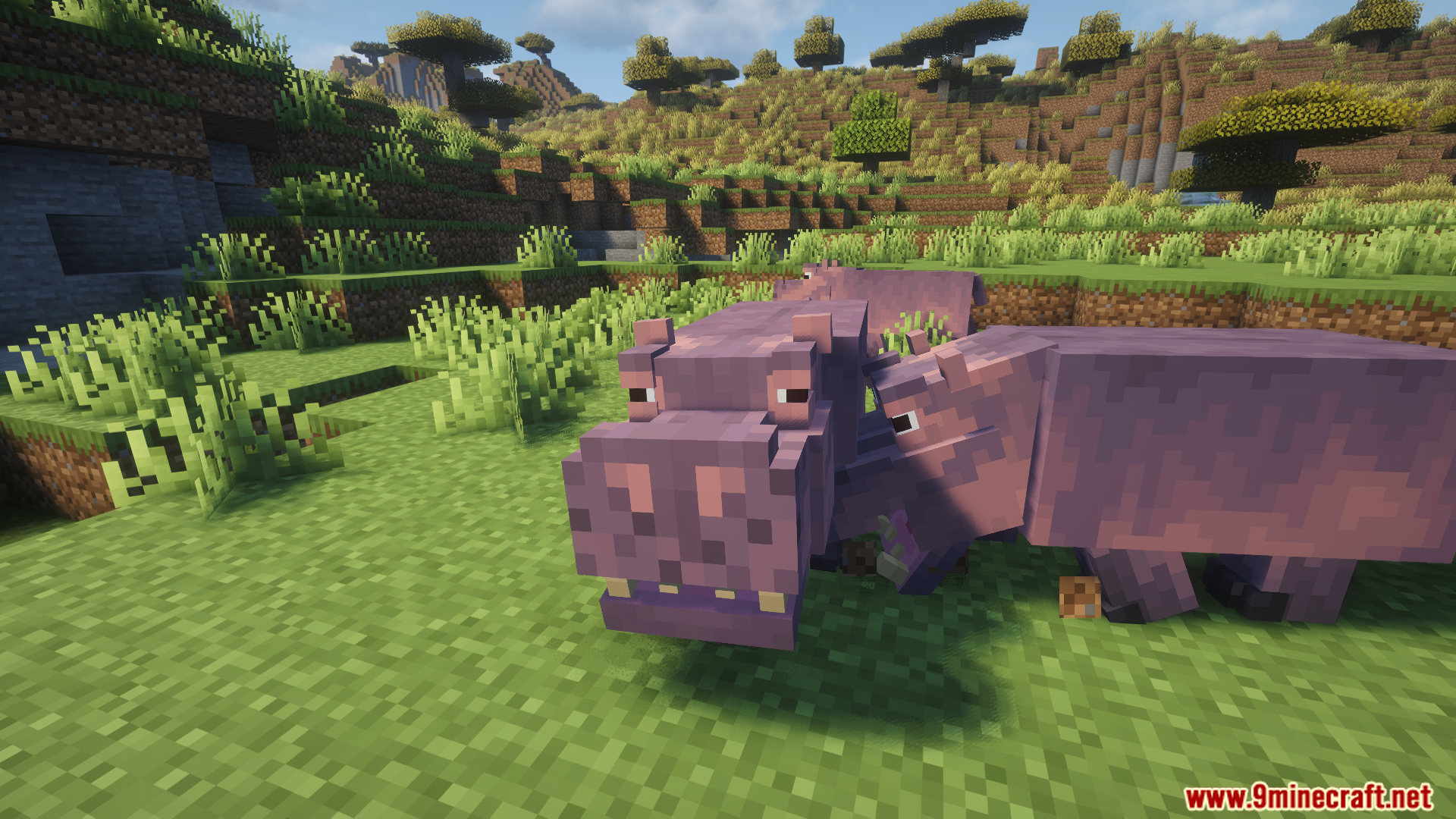 Animal Garden Hippopotamus Mod Screenshot 6 Two hippos standing close together in a grassy field