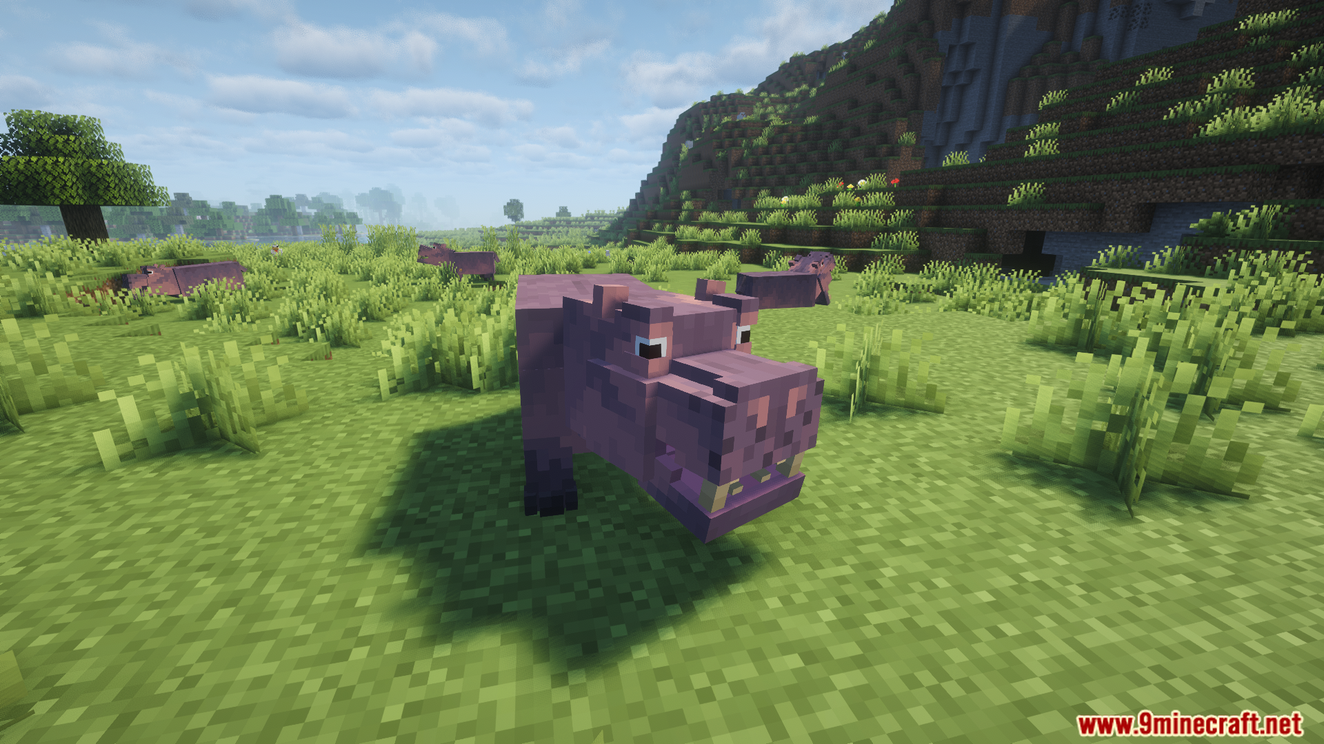 Animal Garden Hippopotamus Mod Screenshot 9 A close up view of the blocky hippo mob