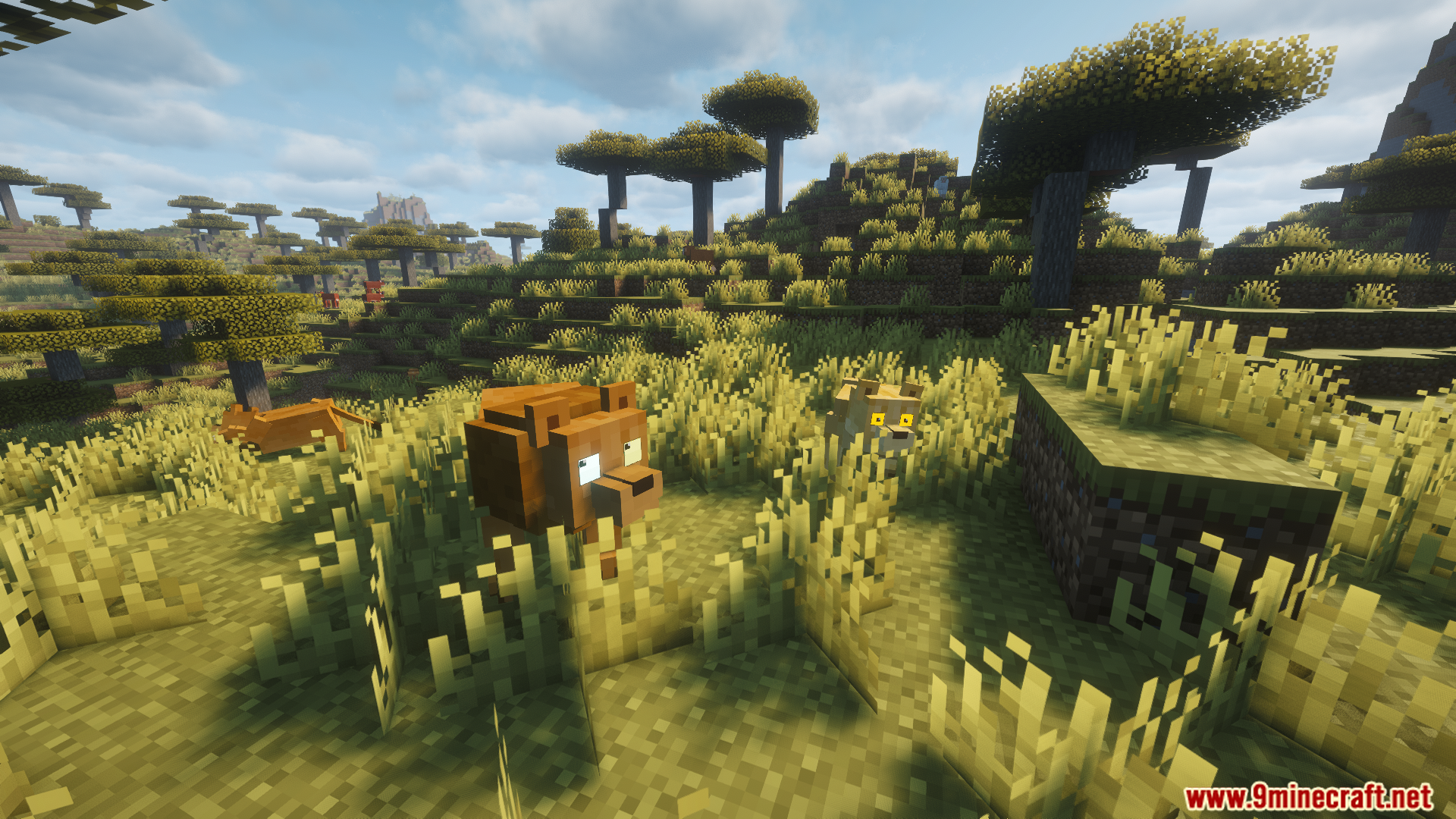 Lions from the Animal Garden Lion Mod roam the savanna