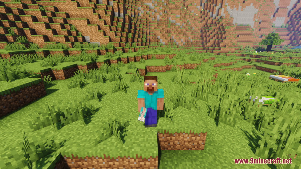 Steve standing in a grassy field with anime beds