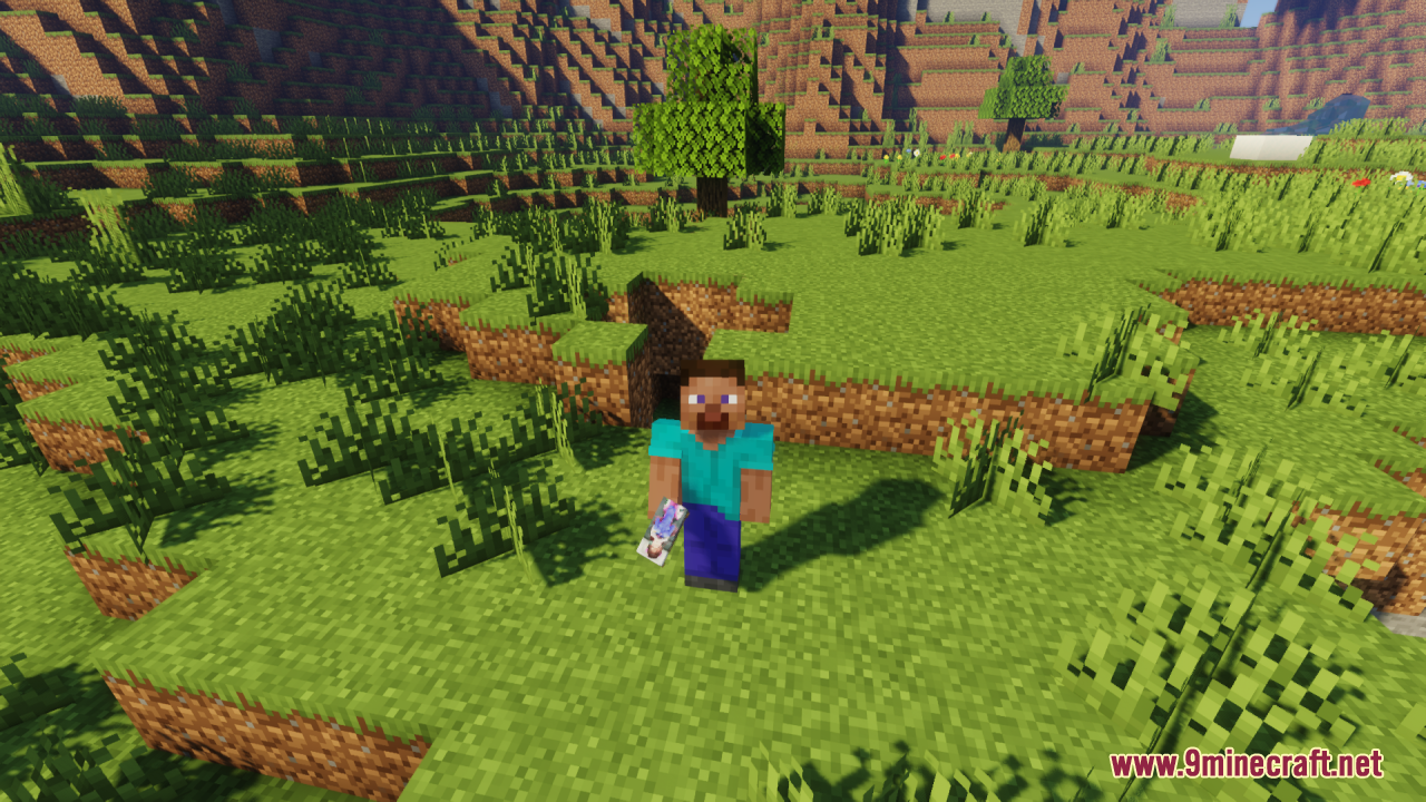 Steve holding a custom anime waifu bed item