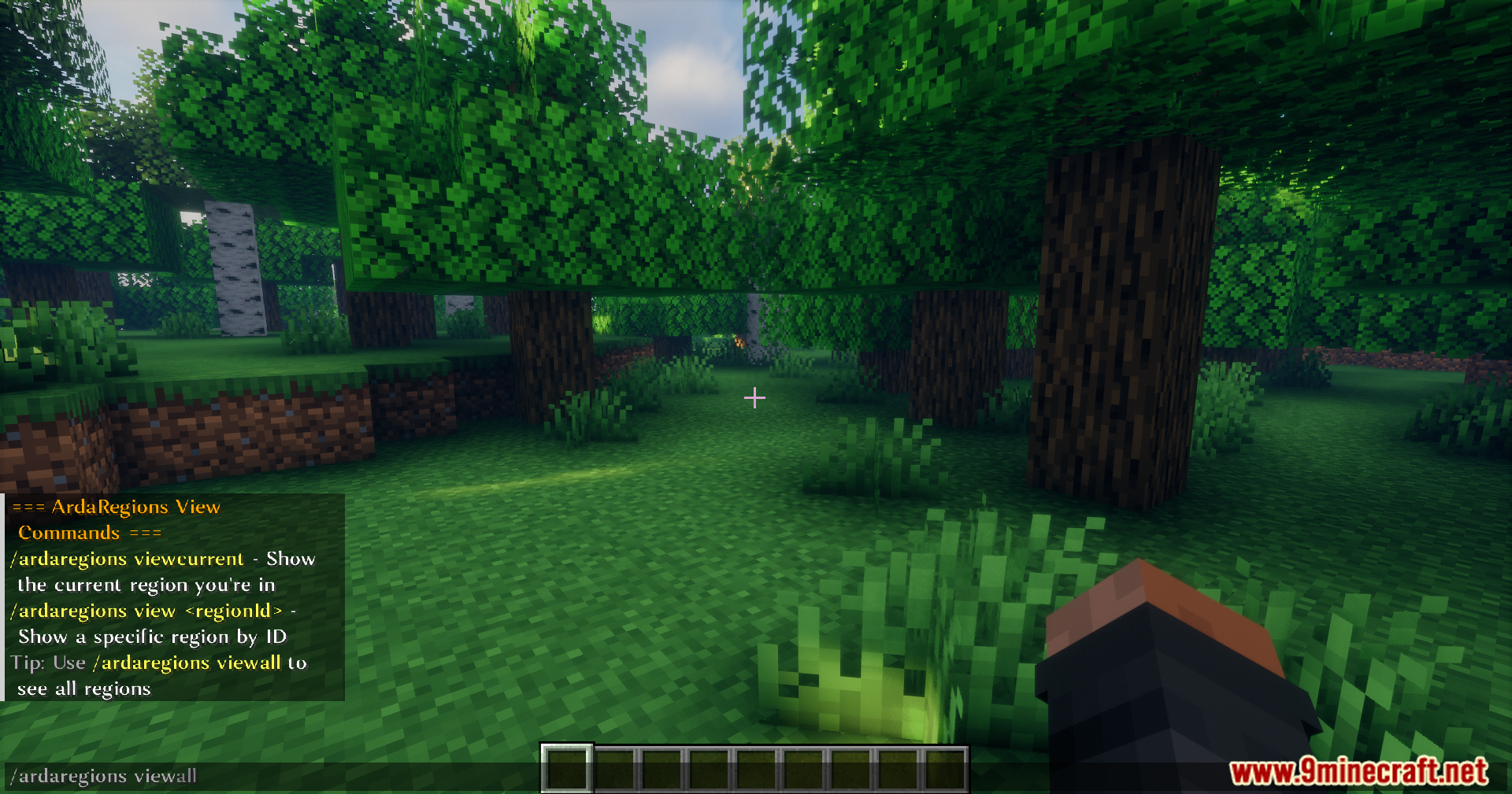 Arda Regions Mod Screenshot 2 Player entering chat commands to view custom zone outlines in a forest
