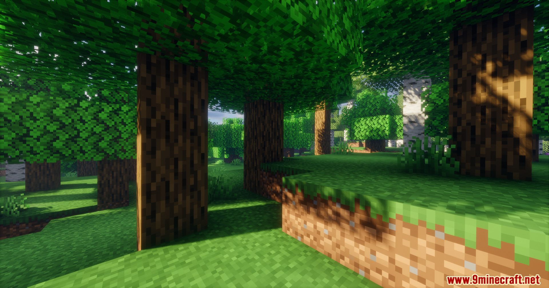 Arda Regions Mod Screenshot 4 Sunlight shining through the trees in a peaceful Minecraft forest biome
