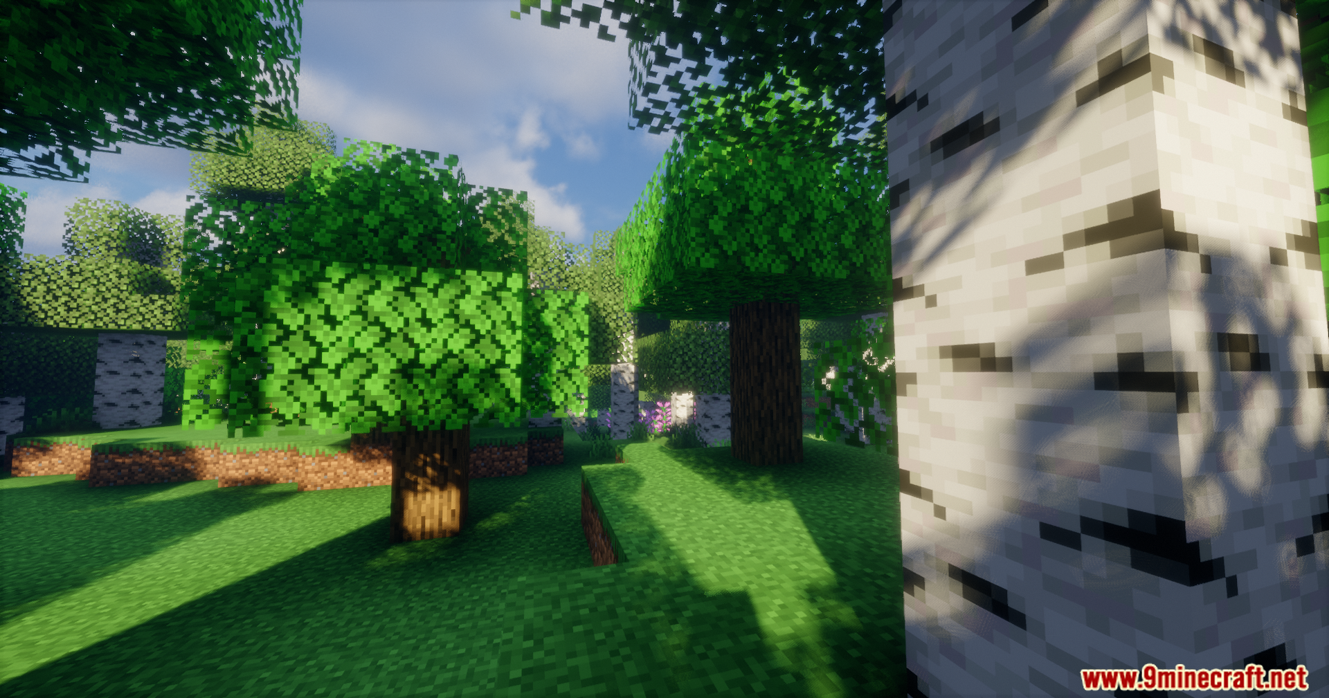 Arda Regions Mod Screenshot 5 A sunny Minecraft forest with birch and oak trees casting shadows